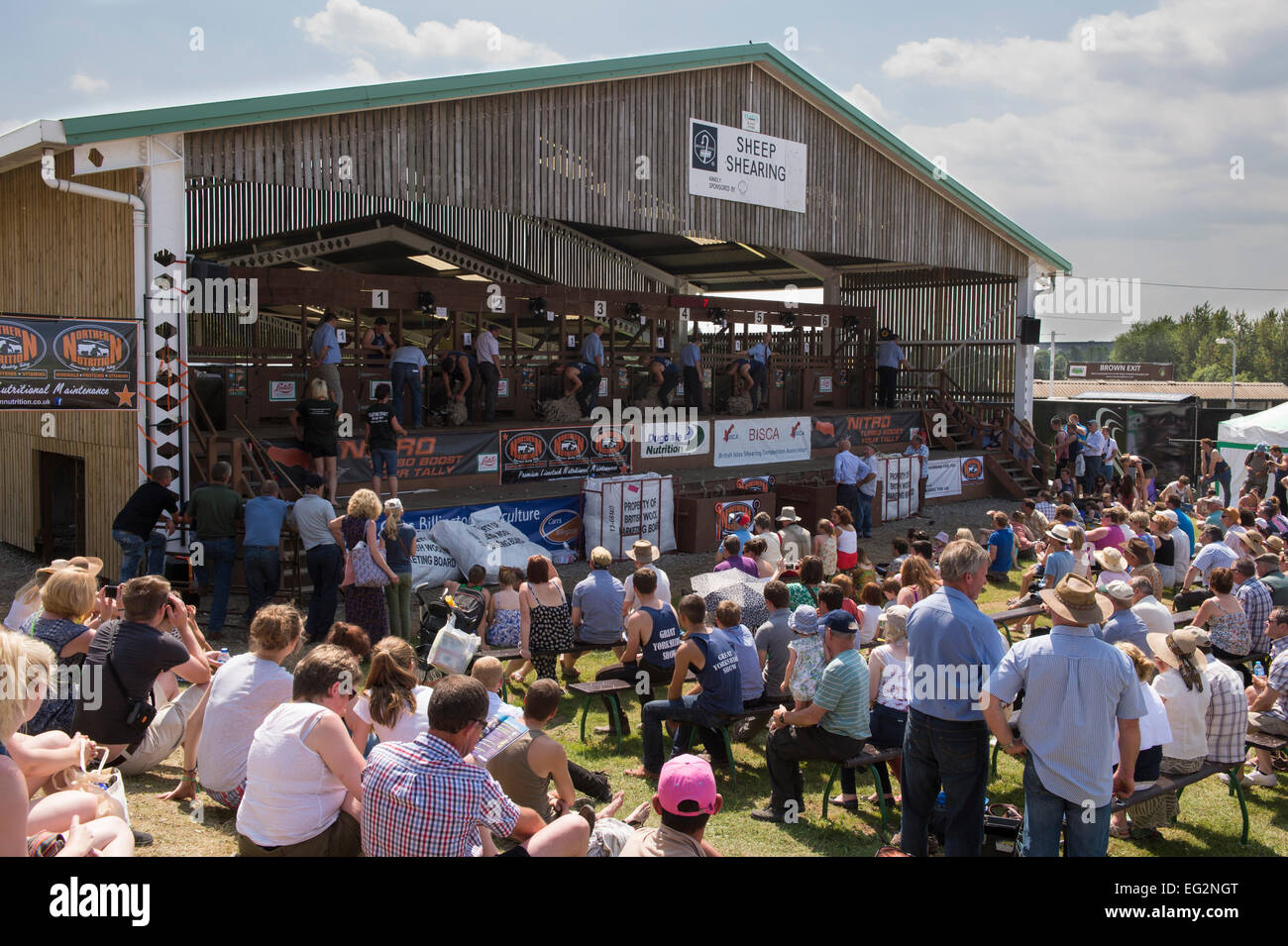 Große zuschauermenge Wettbewerber beobachten konkurrieren in einer schafschur Konkurrenz an einem sonnigen Großen Yorkshire Showground, Harrogate, England, UK. Stockfoto