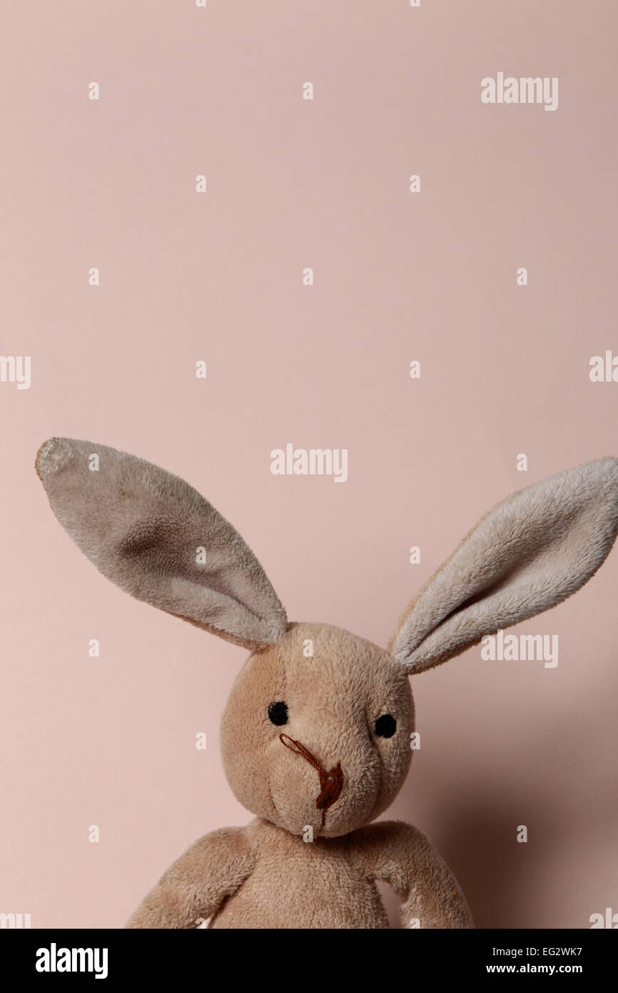 Ein Kinder Teddybär im Studio vor einem hellen rosa Hintergrund abgebildet. Stockfoto