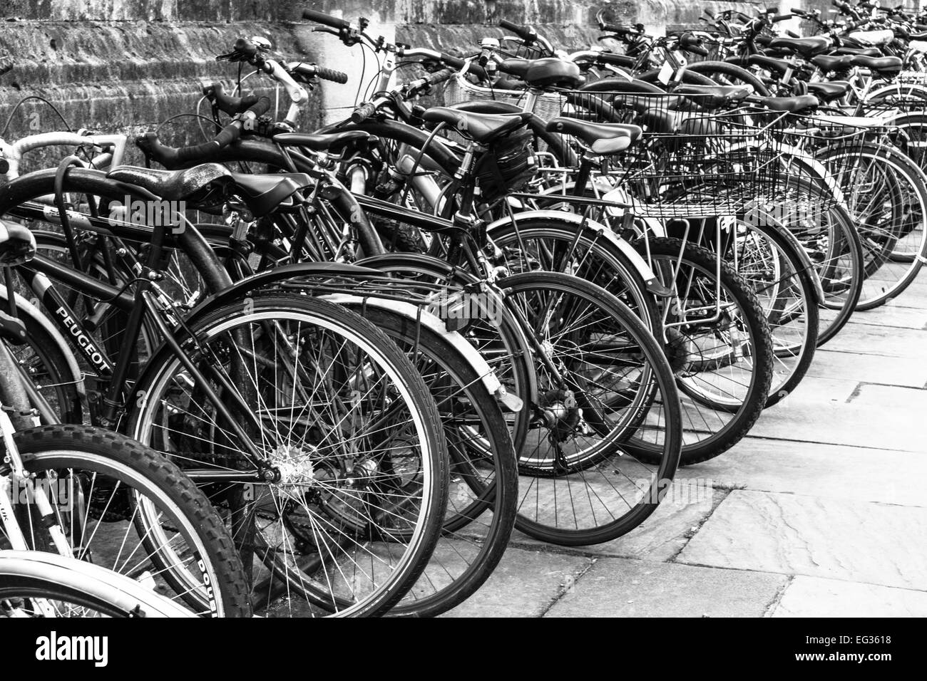 Fahrräder, aufgereiht in Oxford Stockfoto