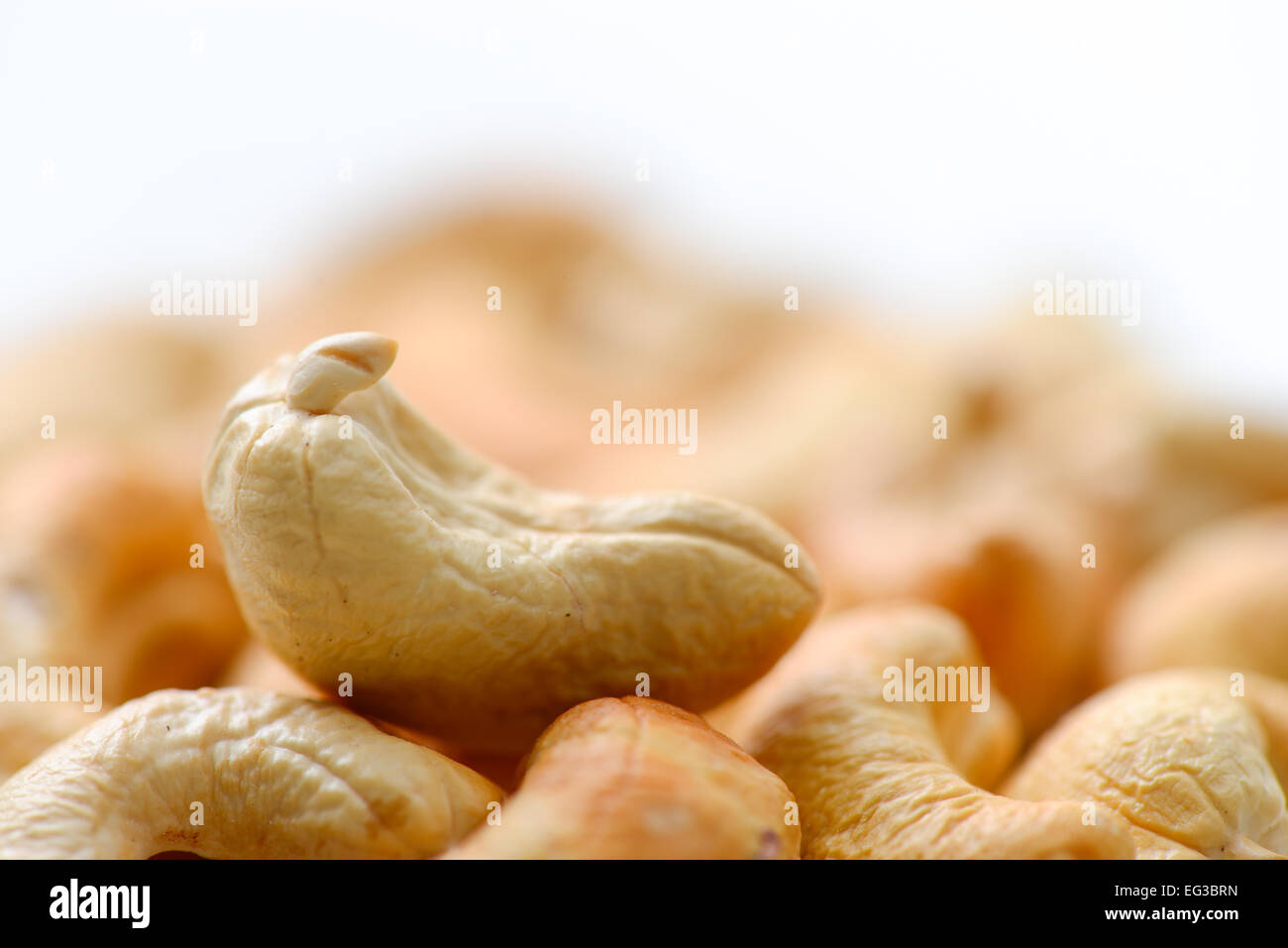 Cashew-Nuss Stockfoto