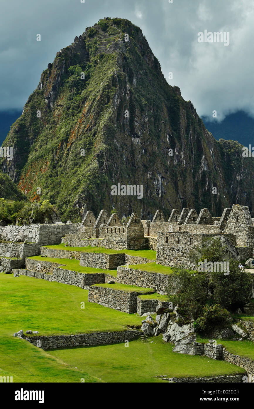 Machu Picchu Inka-Ruinen in der Nähe von Aguas Calientes, aka Machu Picchu Pueblo, Cusco, Peru Stockfoto