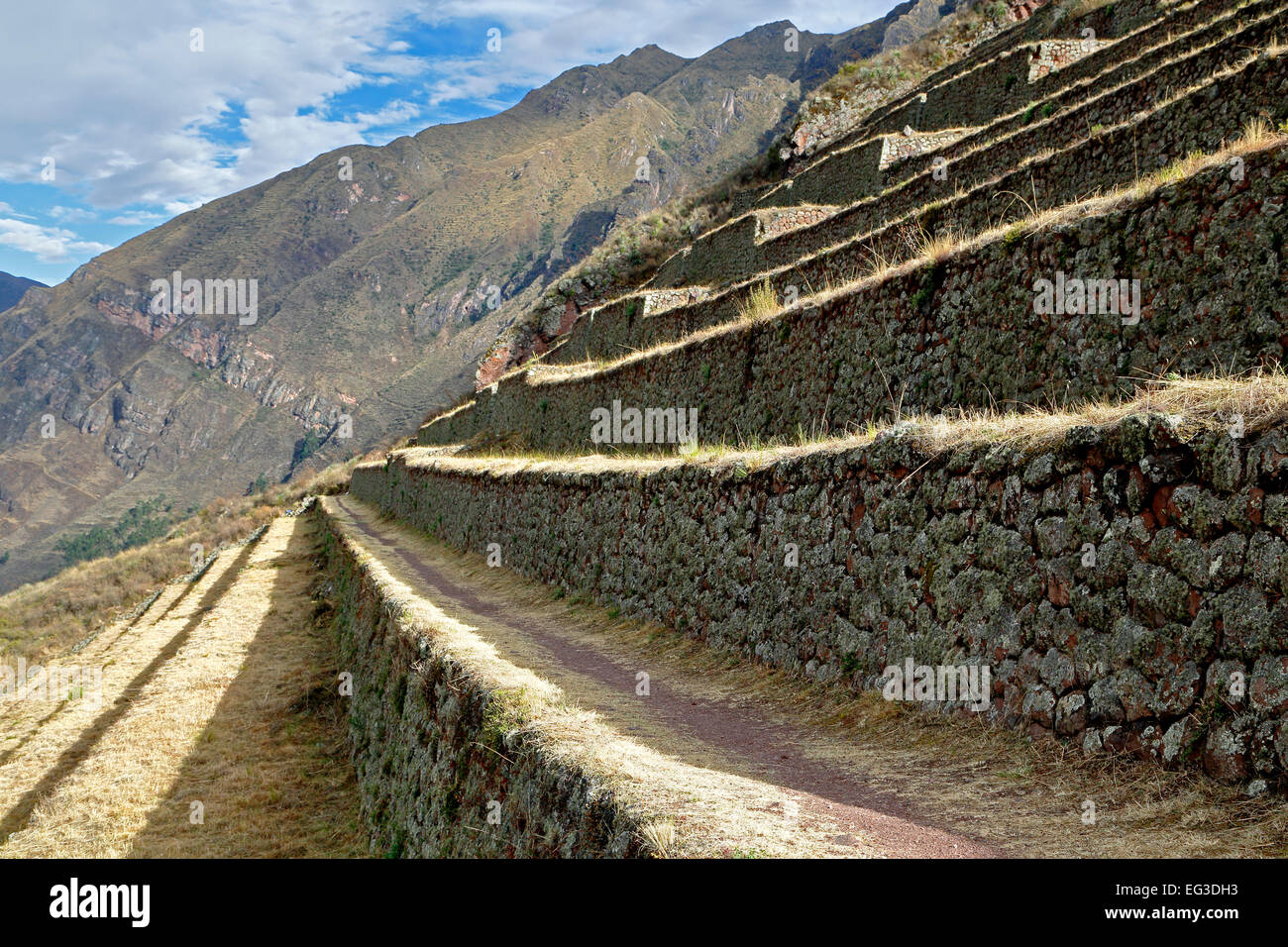 Landwirtschaftlichen Terrassen Pisac Inkaruinen, Pisac, Cusco, Peru Stockfoto