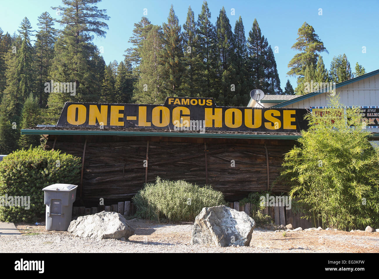 Das One-Blockhaus entstand 1946 aus einem Mammutbaum, die mehr als 2100 Jahre alt war. Garberville, Kalifornien. Stockfoto