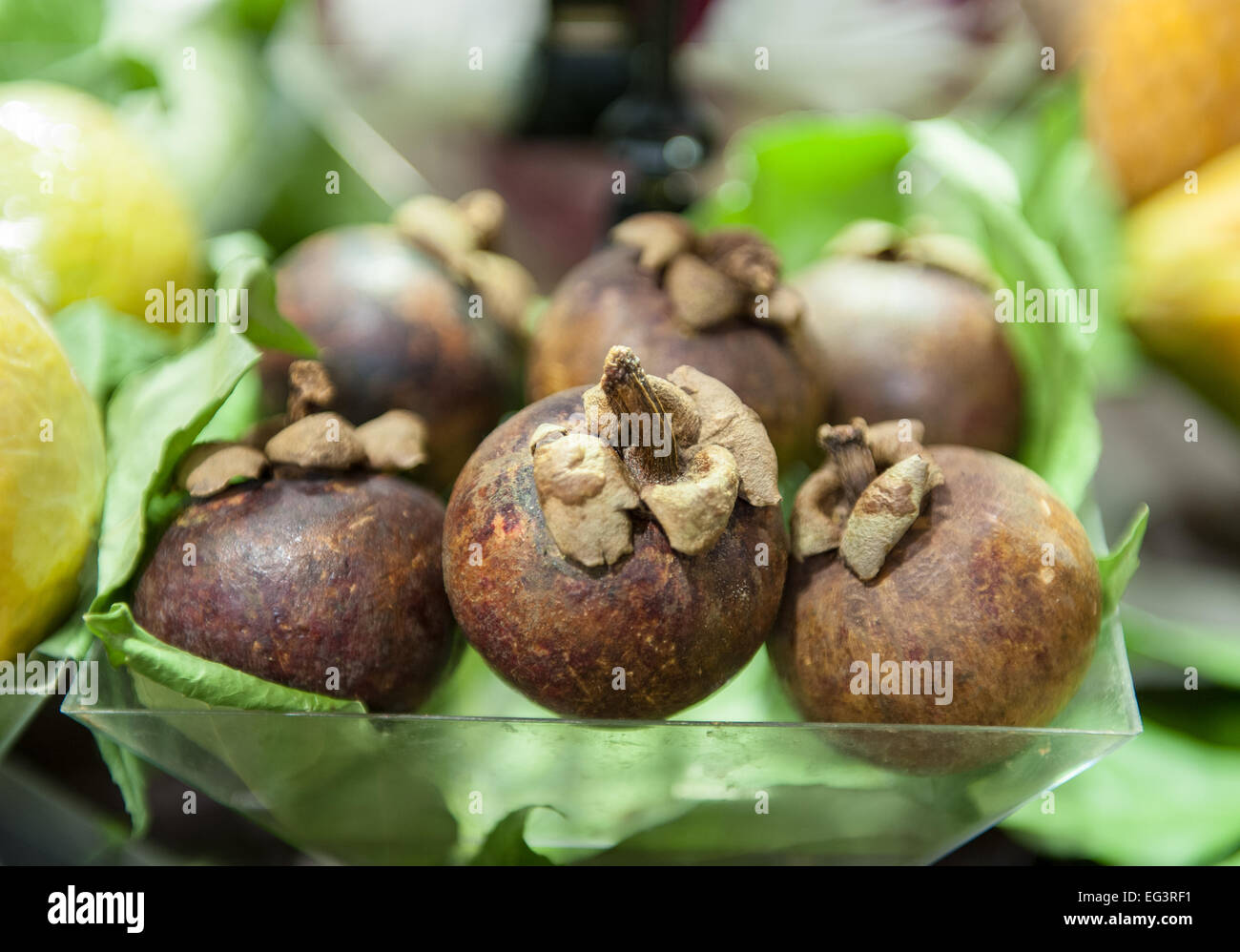 Mangostan Frucht Kasten, Regal im Markt hautnah mit von der Fokus-Hintergrund Stockfoto