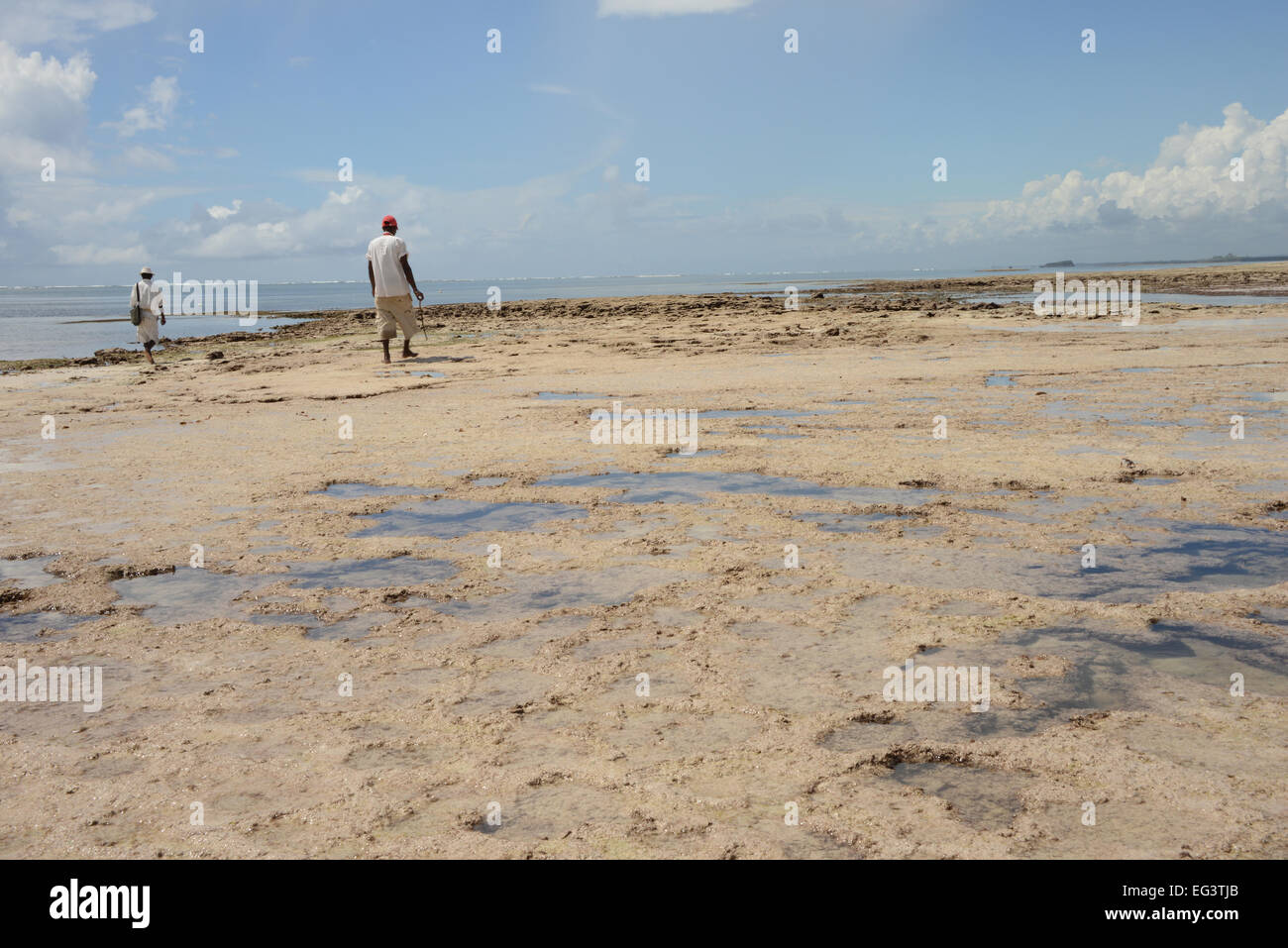 Coral Ridge im Turtle Bay in Kenia, Ostafrika Stockfoto