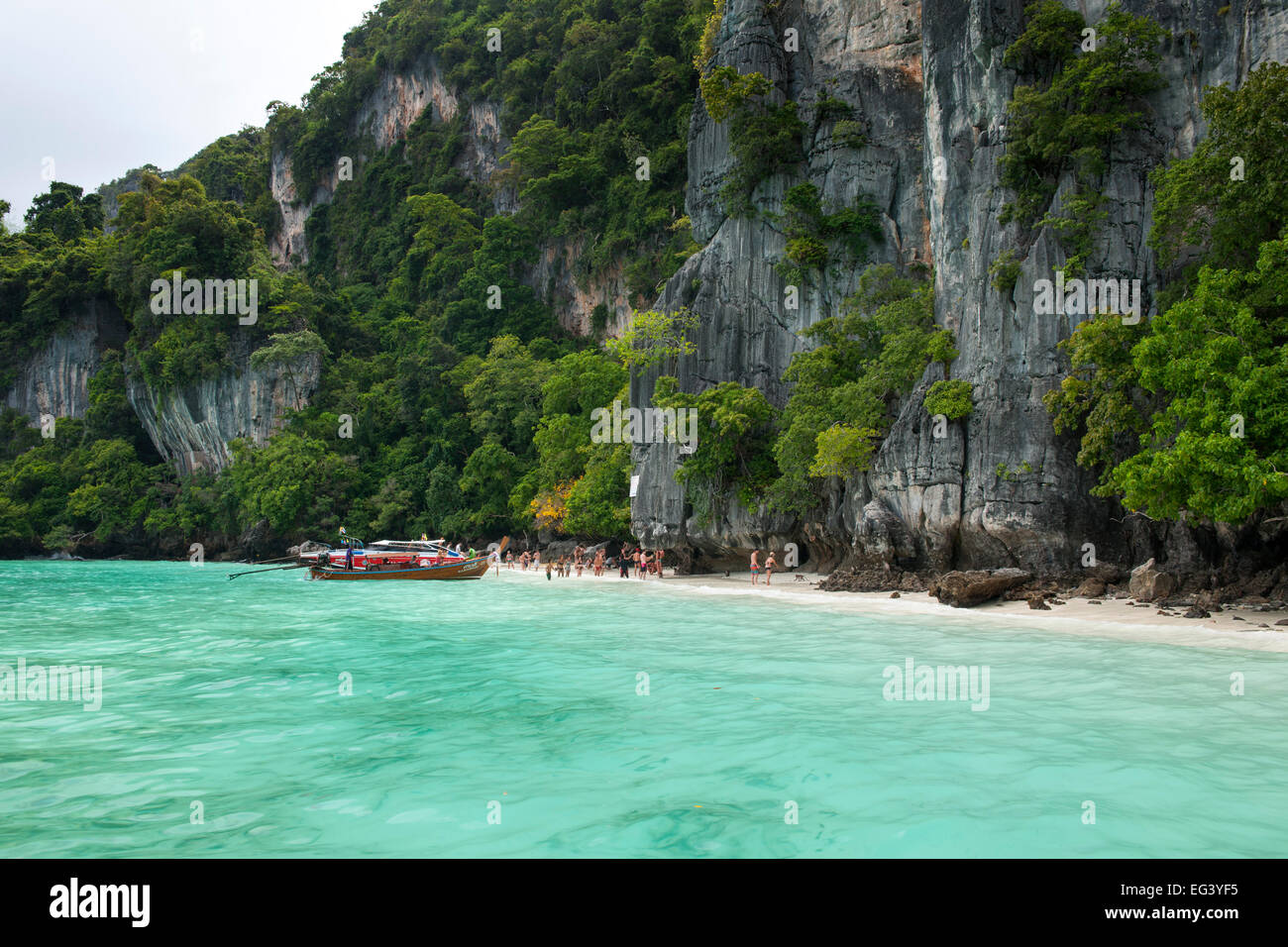 Ausflugsboote und die Küste von Koh Phi Phi Insel in Thailand. Stockfoto