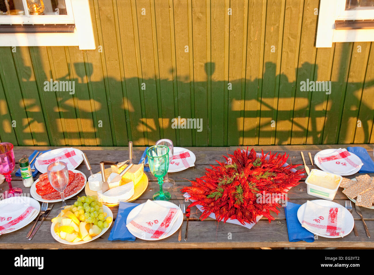 Schweden - Krebse mit Dill im traditionellen schwedischen Krebse Partei gegessen. Stockfoto