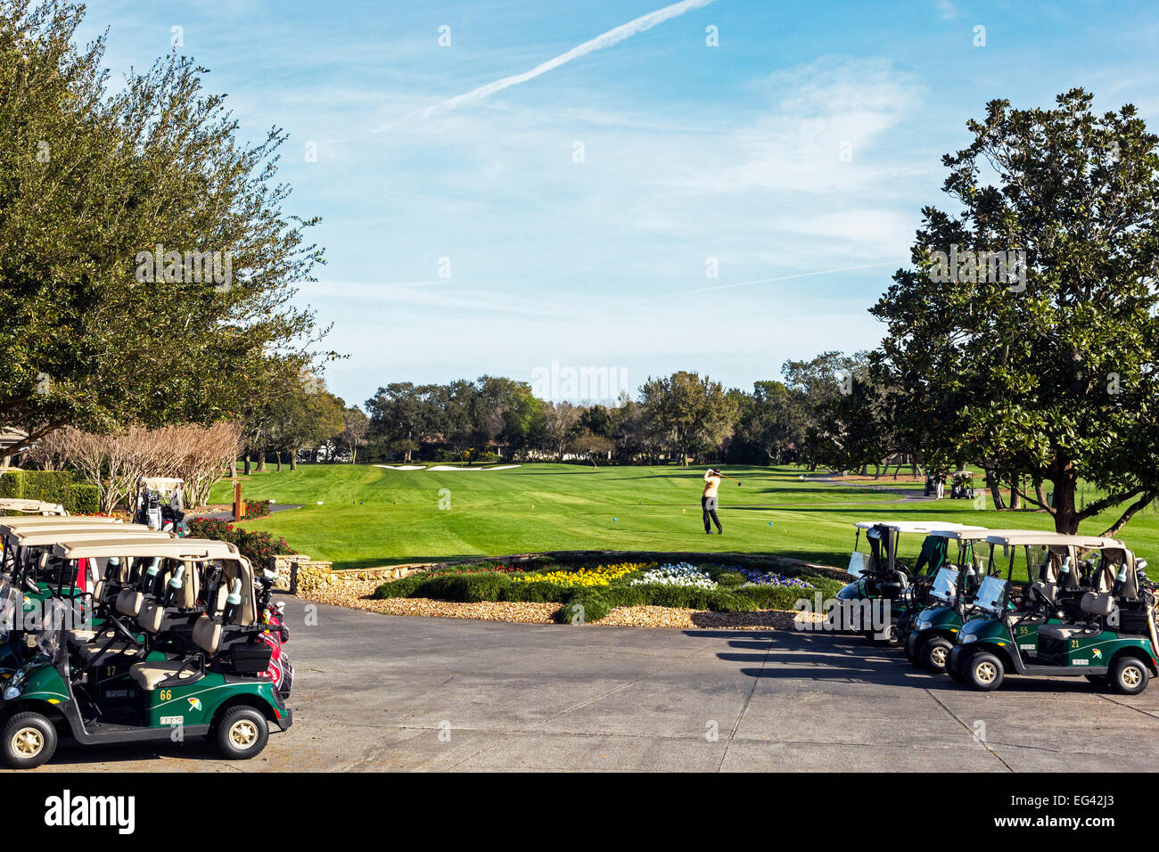 Golfer auf dem ersten Abschlag an Arnold Palmer Bay Hill Golf Course, Orlando, Florida, Amerika Stockfoto