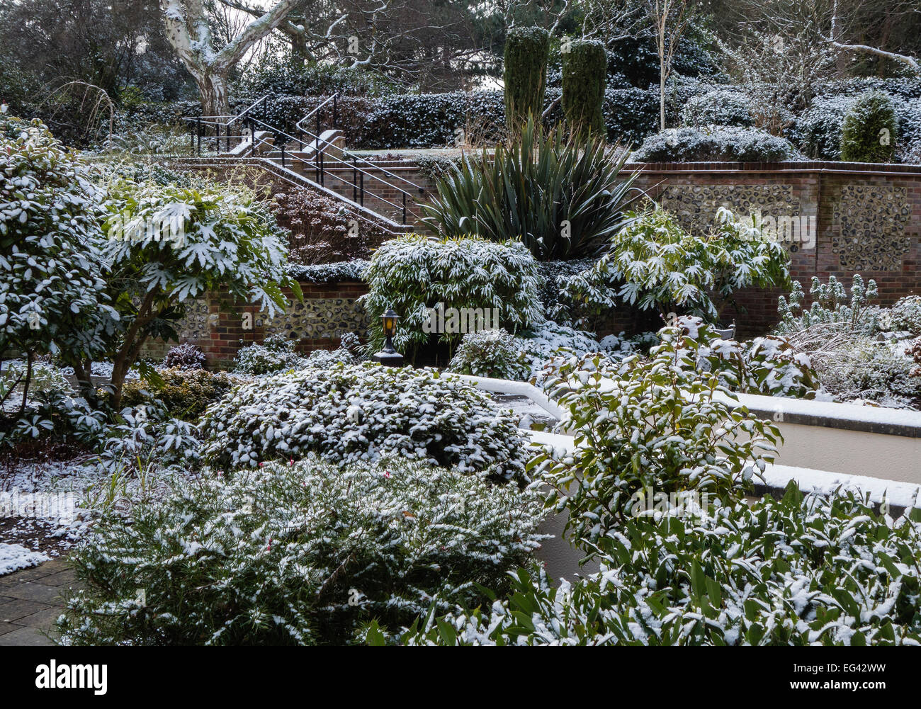 Gartenblick mit Schneedecke in Dorset, England, Großbritannien Stockfoto