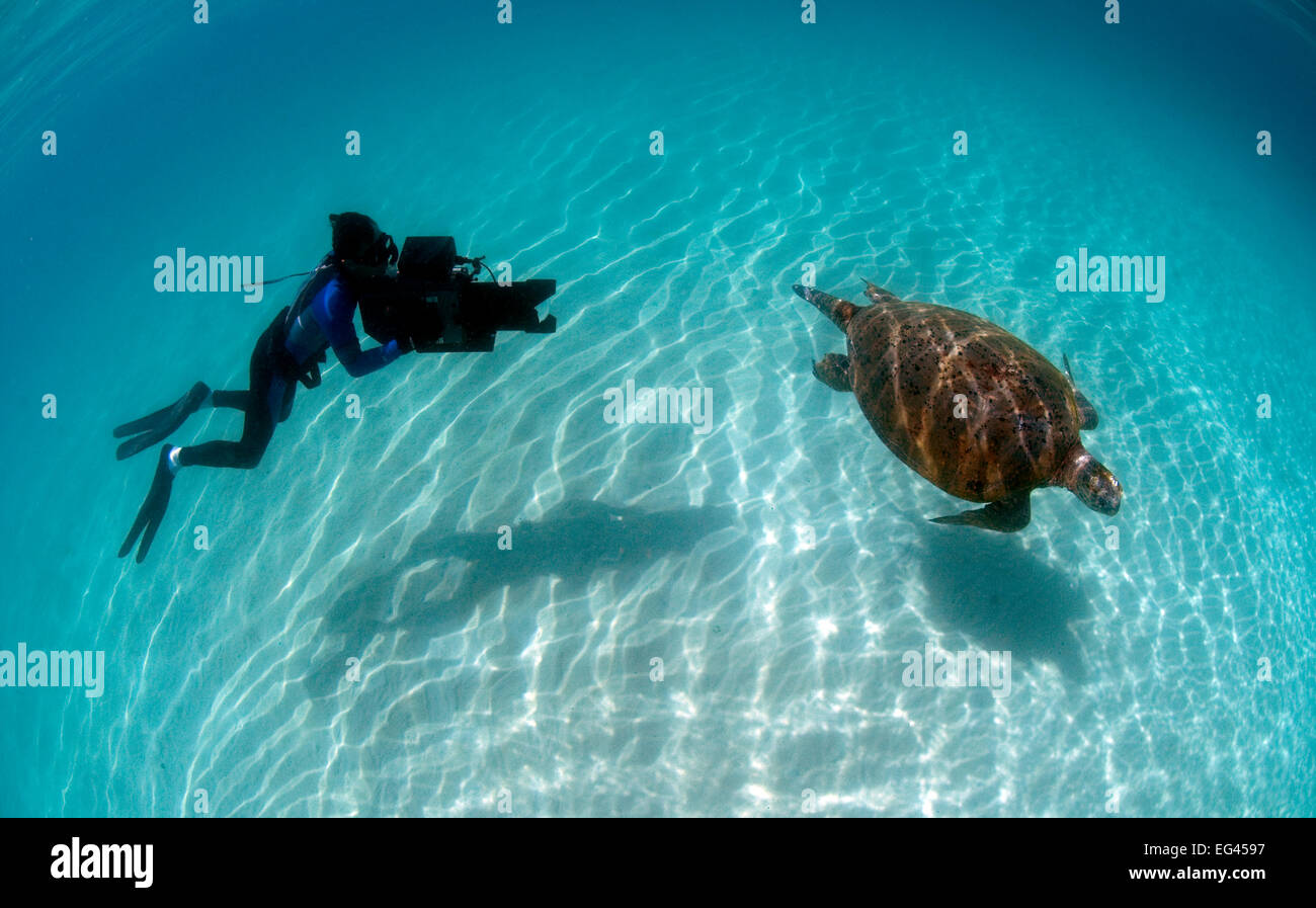 Kameramann Michael Pitts Dreharbeiten Suppenschildkröte (Chelonia Mydas) Karan Insel. Persischen Golf Juni 2009 Stockfoto