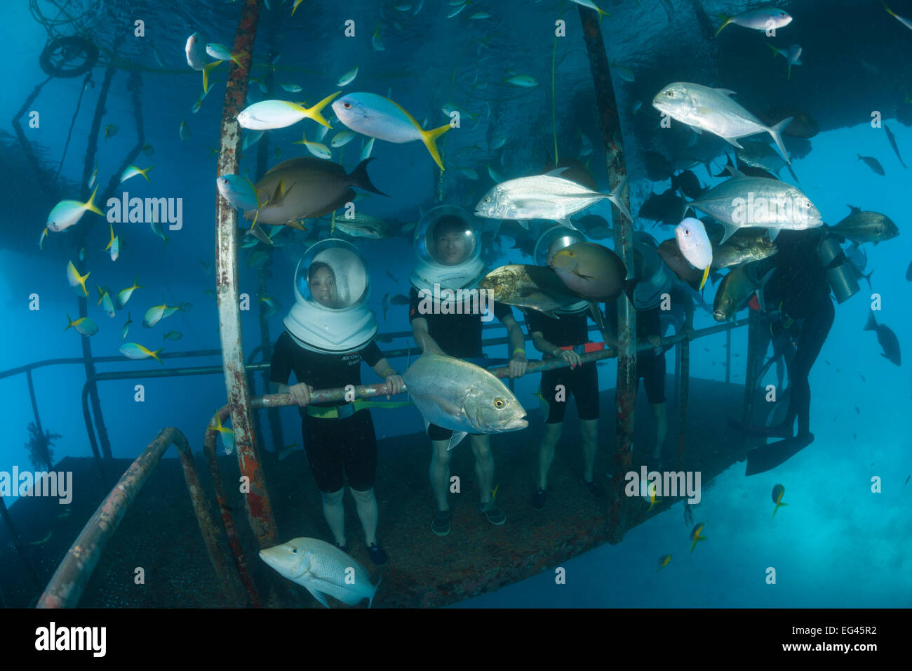 Nicht-Taucher Touristen umgeben von Fisch Meer Walker ausprobieren Sunlover Ponton Great Barrier Reef nach Australien November 2012 Stockfoto