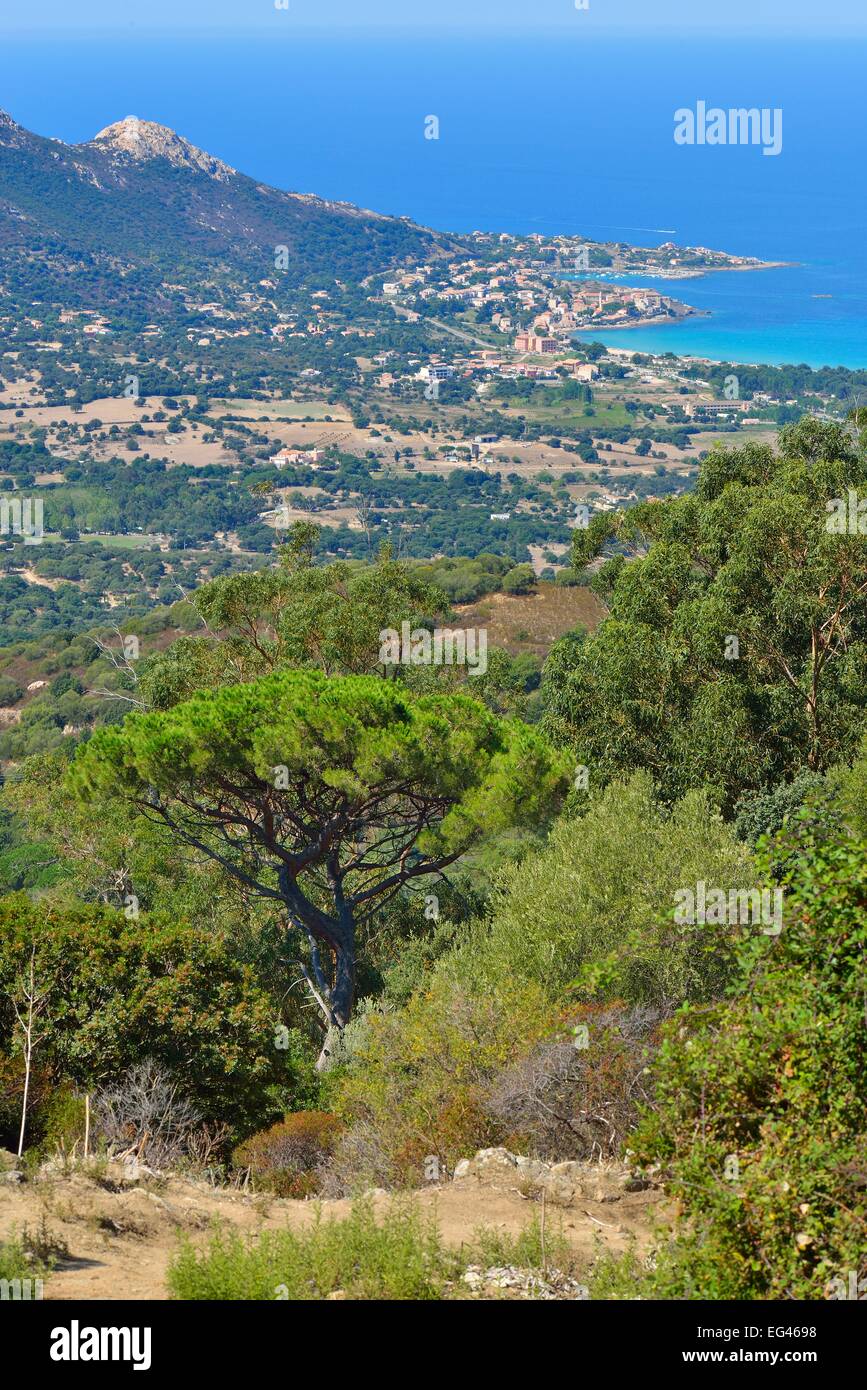 Die Bucht von Calvi, Balagne, Haute-Corse, Korsika, Frankreich Stockfoto