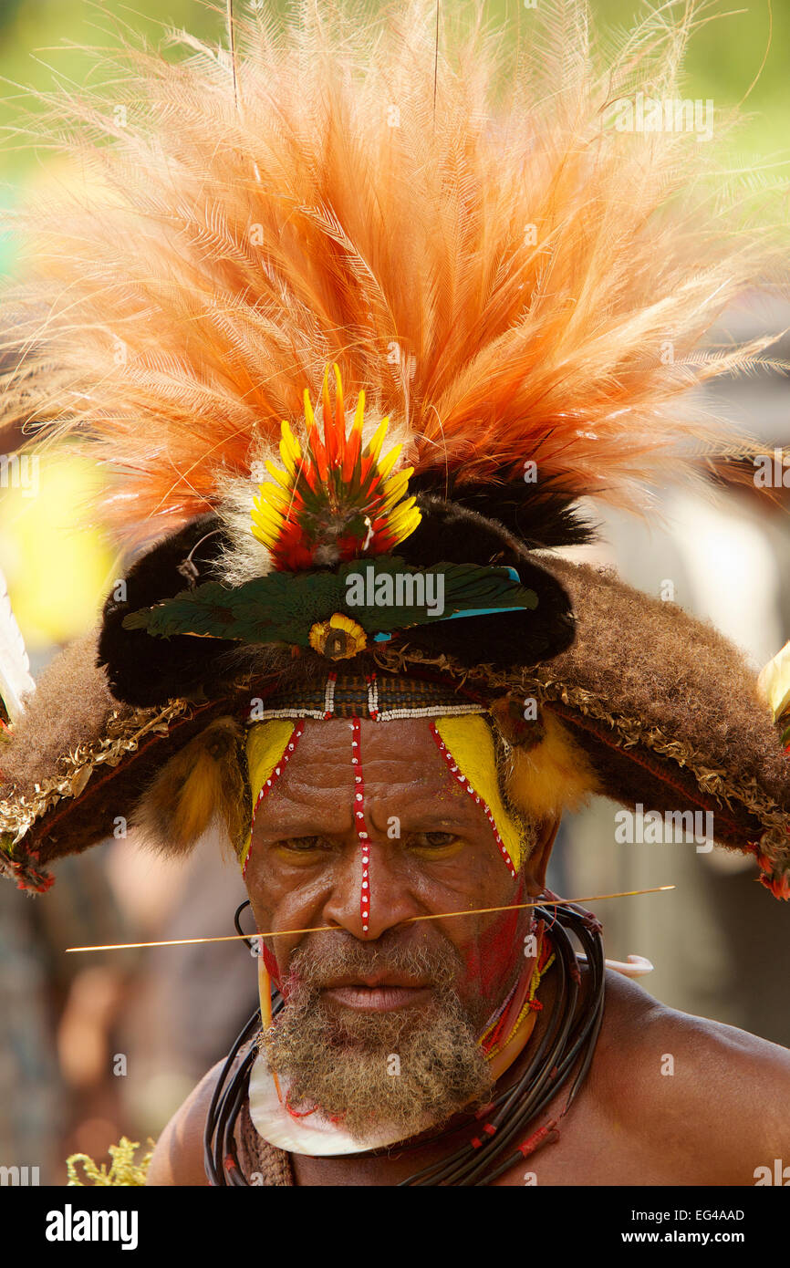 Huli Wigman Porträt Echthaarperücken tragen Federn verschiedene Paradiesvögel anderer Vogelarten. Tari Valley Southern Highlands Provinz Papua-Neuguinea. November 2010 Stockfoto