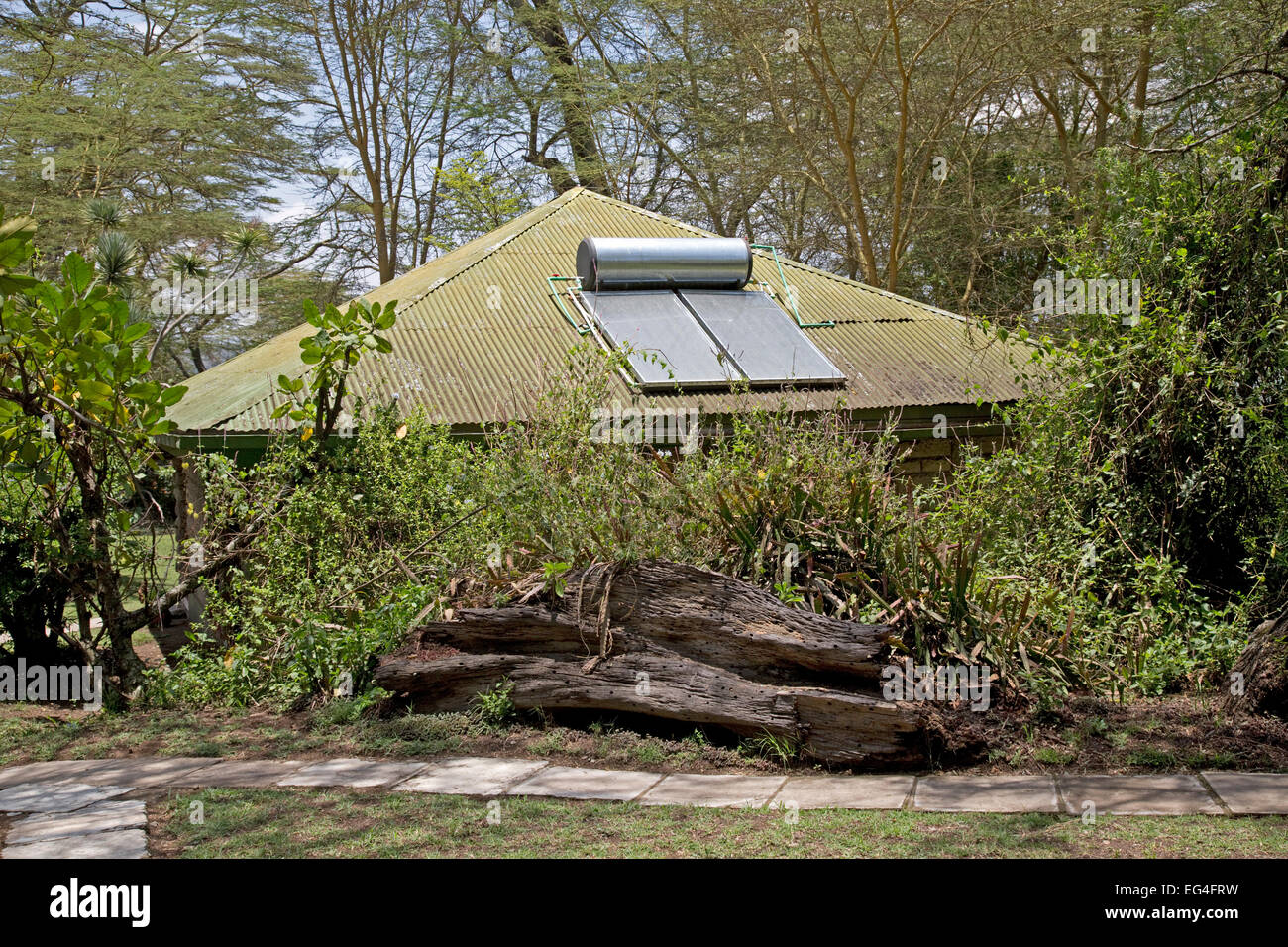 Solar-Warmwasser-Anlage auf Dach der Hütte Elsamere Kenia Stockfoto