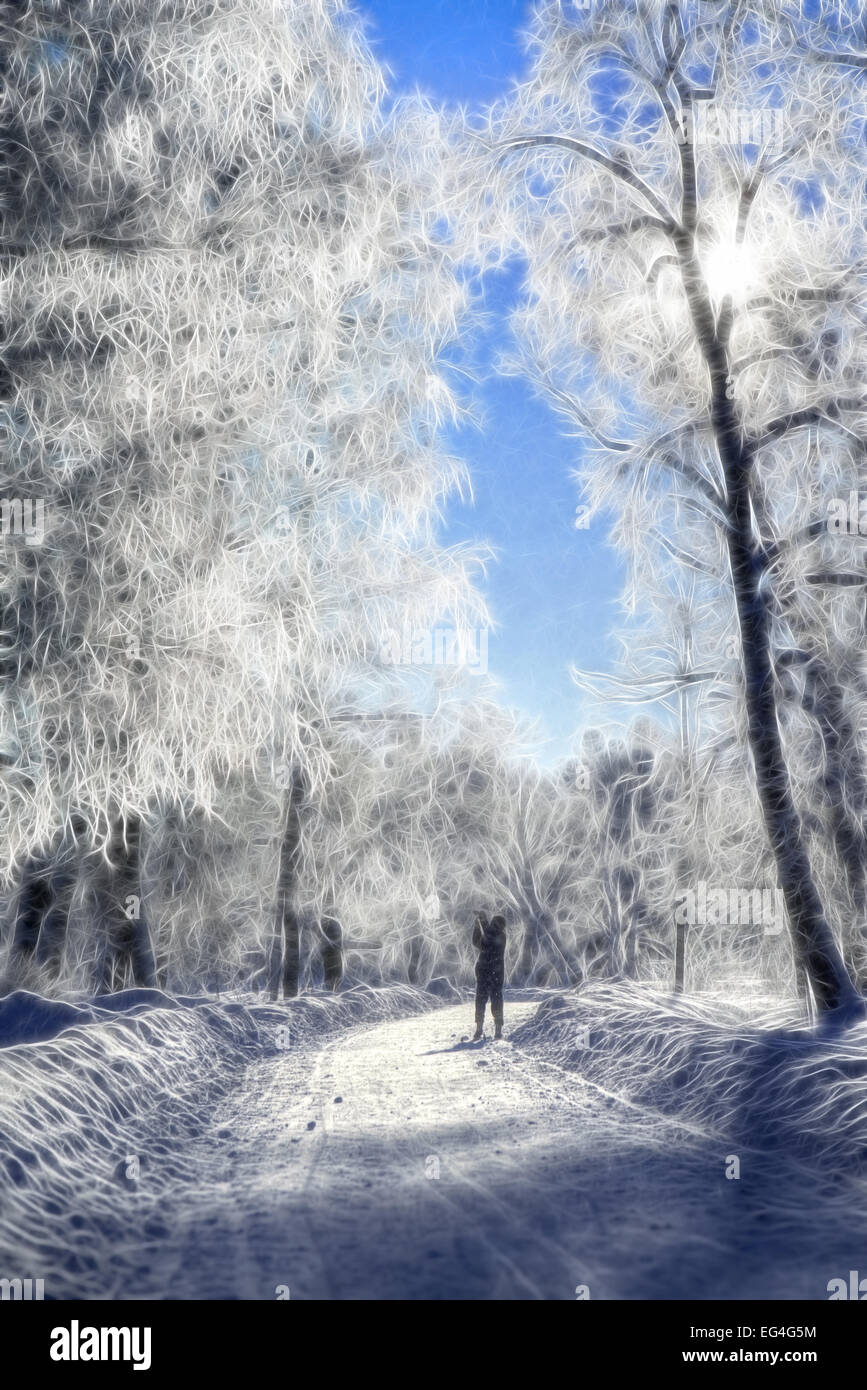 Winter-Wunder Stockfoto