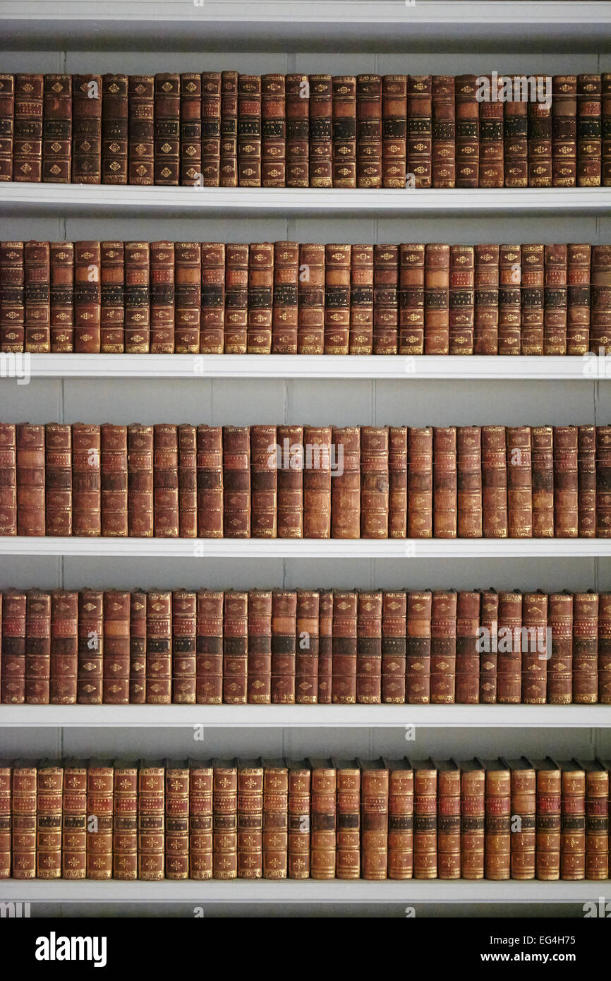 Bücherregal voll von alten Büchern. Stockfoto