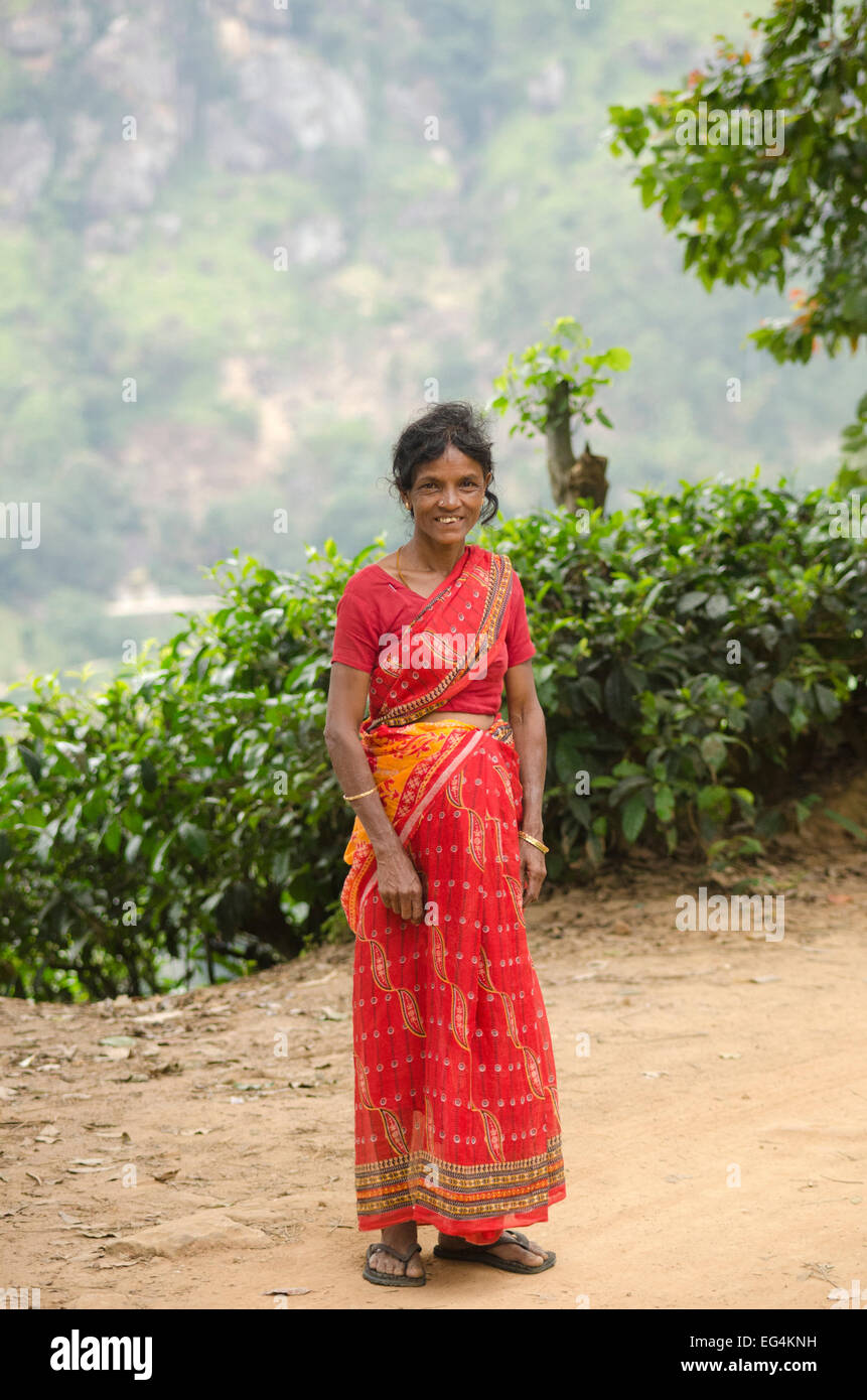Eine tamilische Frau Ella Dorf, Sri Lanka Stockfotografie Alamy