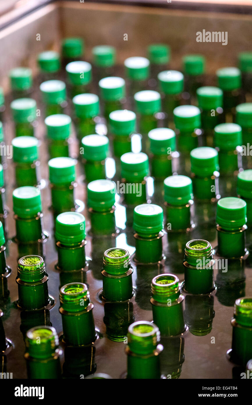 Kiste verschlossen und ohne Abdeckung grünen Flaschen auf der Produktionslinie Stockfoto
