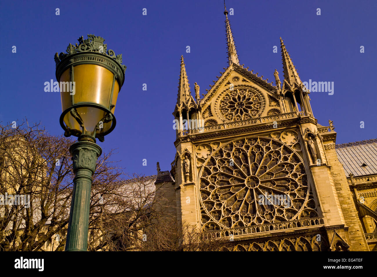 Nach oben auf der Südseite der Kathedrale Notre Damne mit Straßenlaterne im Vordergrund Stockfoto