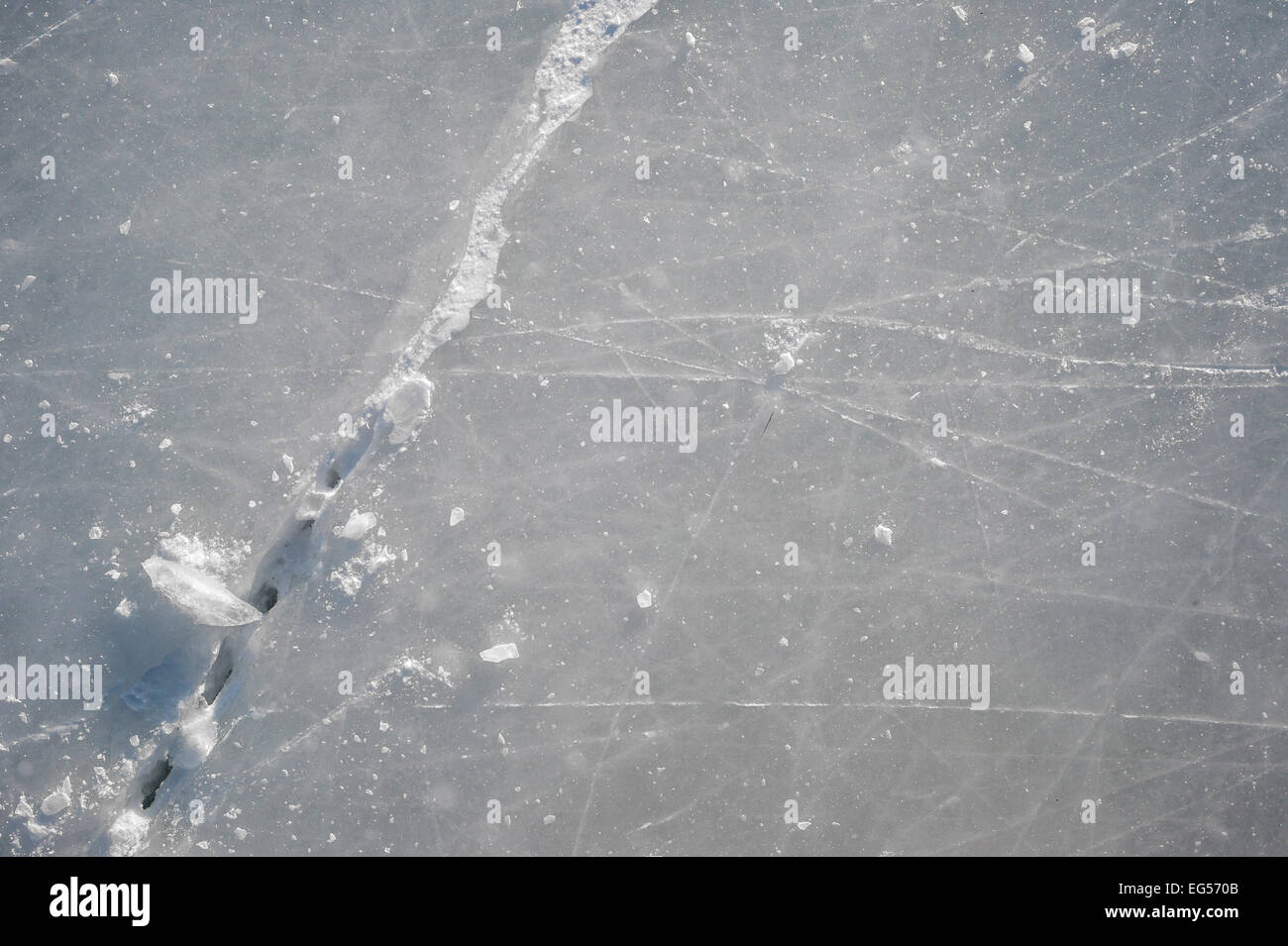 Eis-Textur auf Outdoor-Eisbahn auf Beaver Lake in Montreal Stockfoto