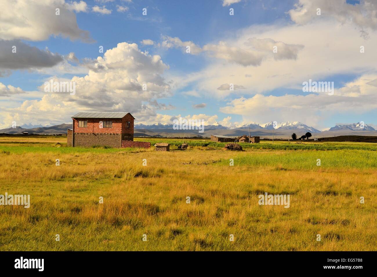 Adobe-Bauer-Haus auf dem Lande Altiplano Boliviens Stockfoto