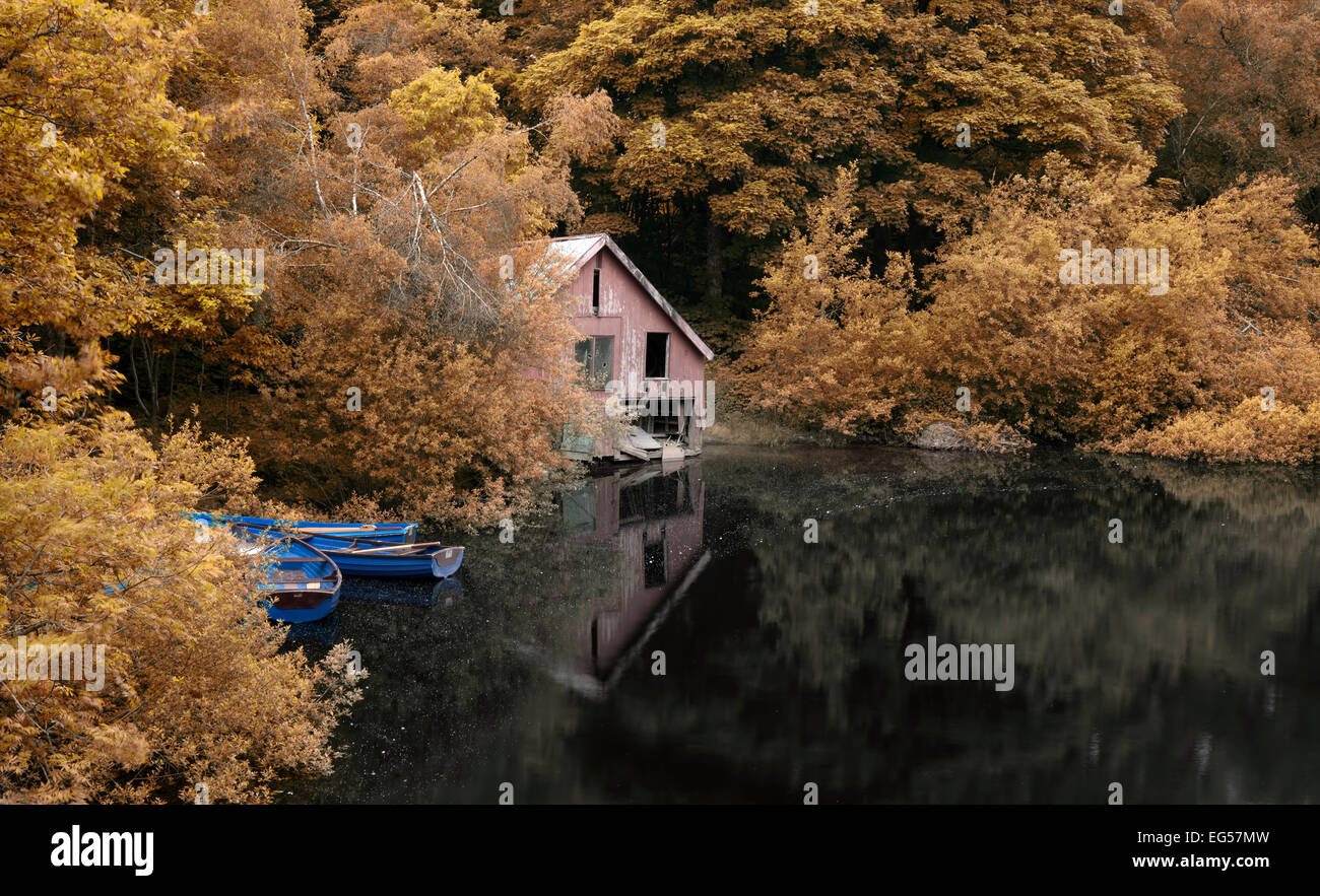Verfallenen alten Bootshaus und Ruderboote, versteckt im Waldsee im Herbst Stockfoto