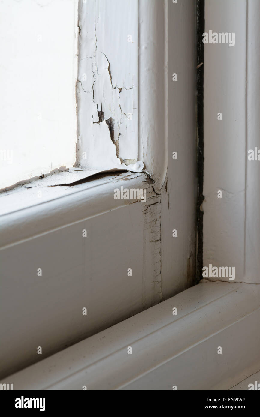 Schäden Sie an einzelnen verglaste hölzerne Fensterrahmen durch Kondensation und Regen Stockfoto