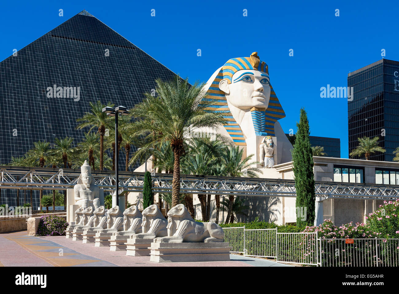 Sphinx Replik Vorderseite des Luxor Hotel and Casino. Stockfoto
