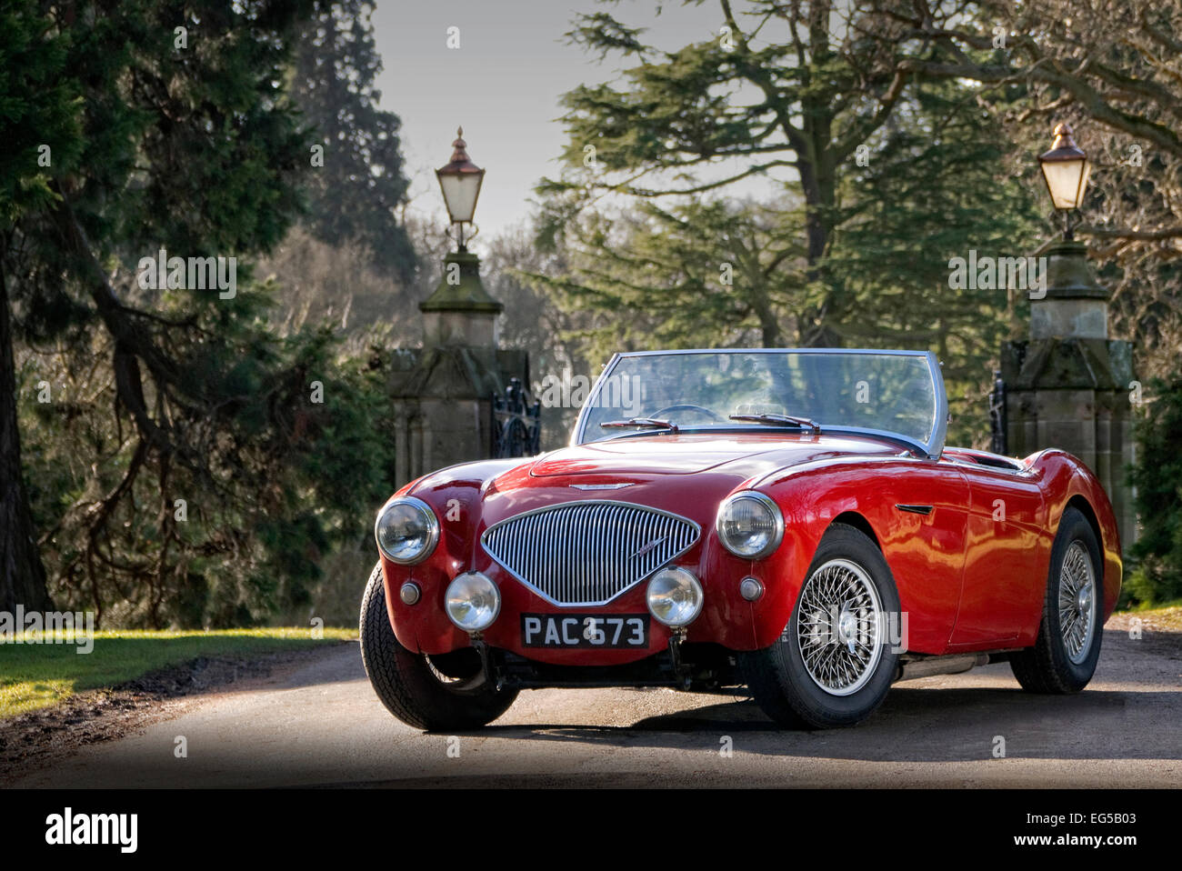 Austin Healey 100M britischen Sportwagen aus den 50er Jahren Stockfoto