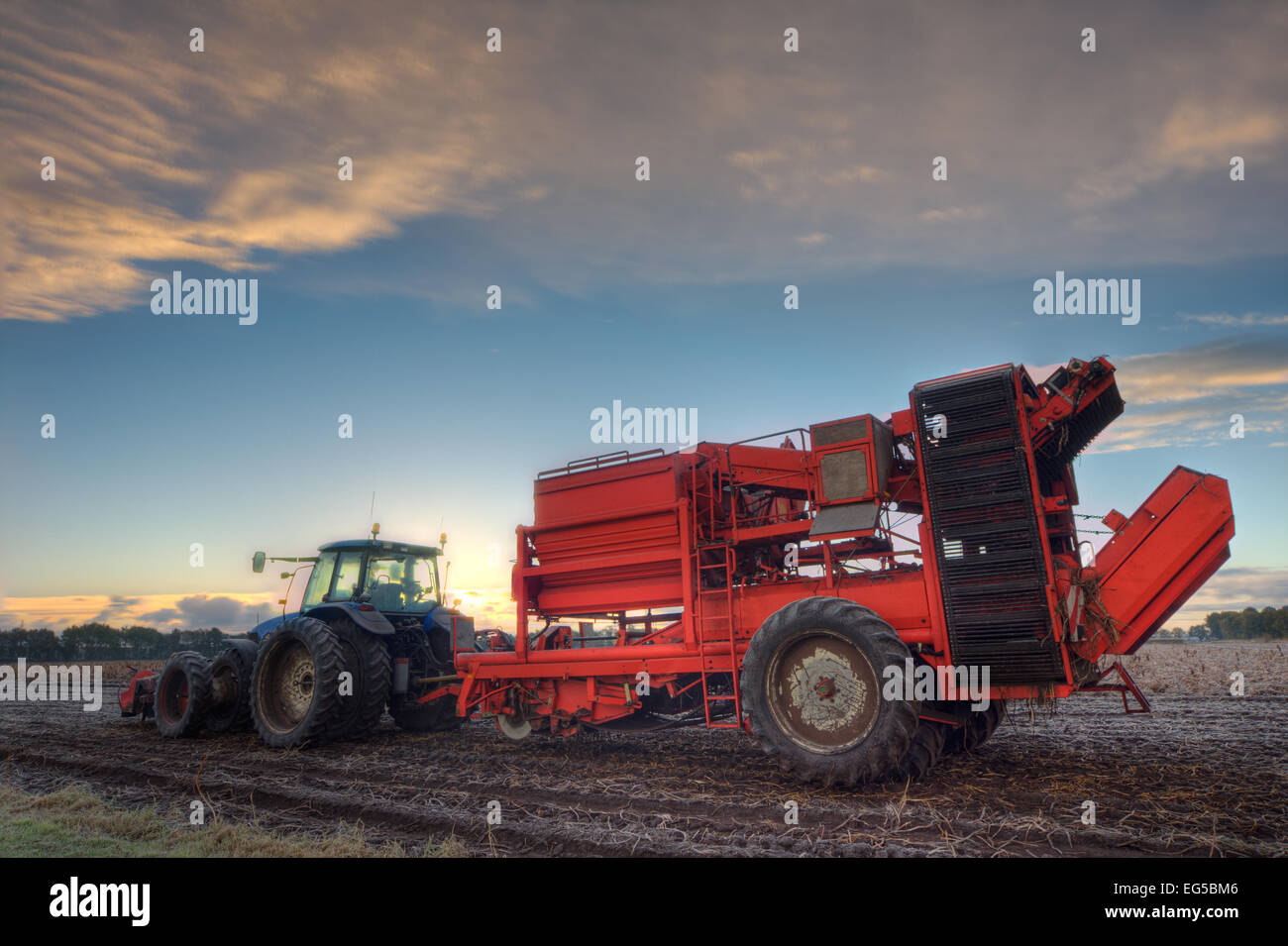 Kartoffelroder und Traktor Stockfoto