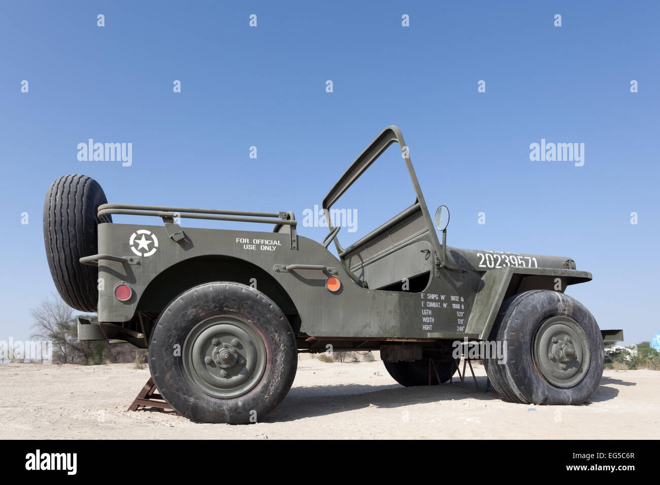 Maßstab 4:1 Willys Jeep im Emirates National Auto Museum in Abu Dhabi Stockfoto