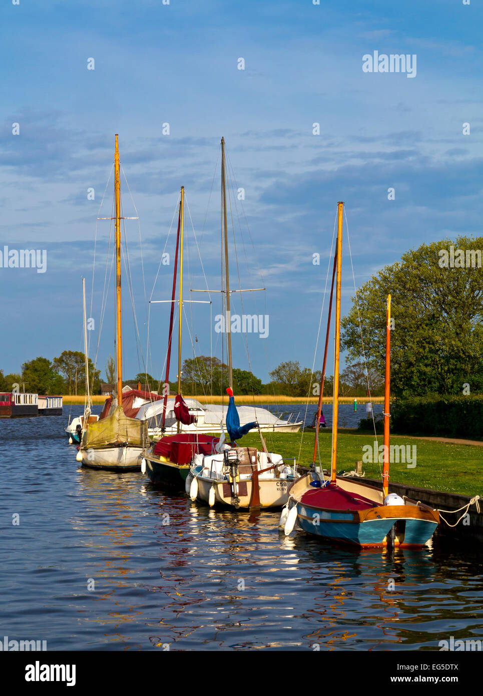 Segeln Boote vertäut am Hickling Staithe in den Norfolk Broads eine Fläche von Binnenwasserstraßen in East Anglia, England UK Stockfoto