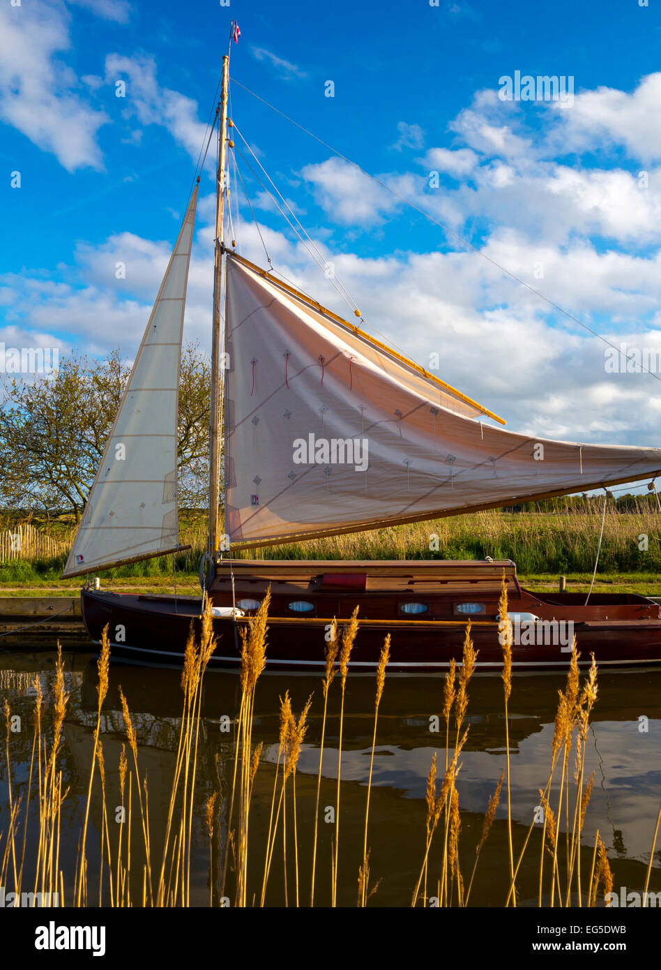 Traditionellen Segelboot vertäut am Horsey bloße in den Norfolk Broads East Anglia England UK Stockfoto