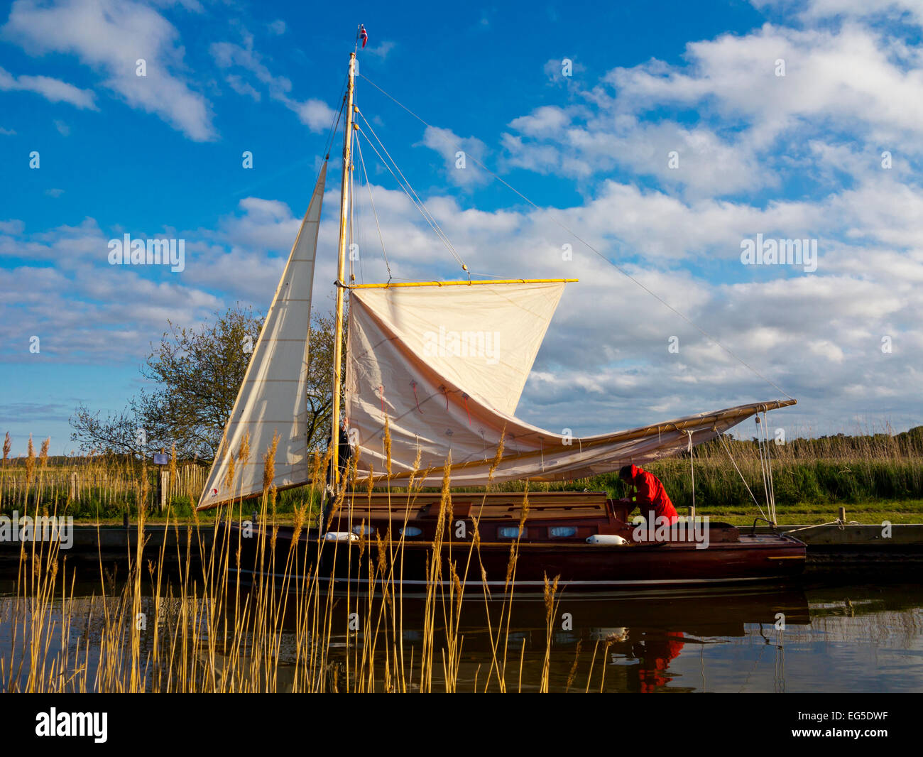 Traditionellen Segelboot vertäut am Horsey bloße in den Norfolk Broads East Anglia England UK Stockfoto