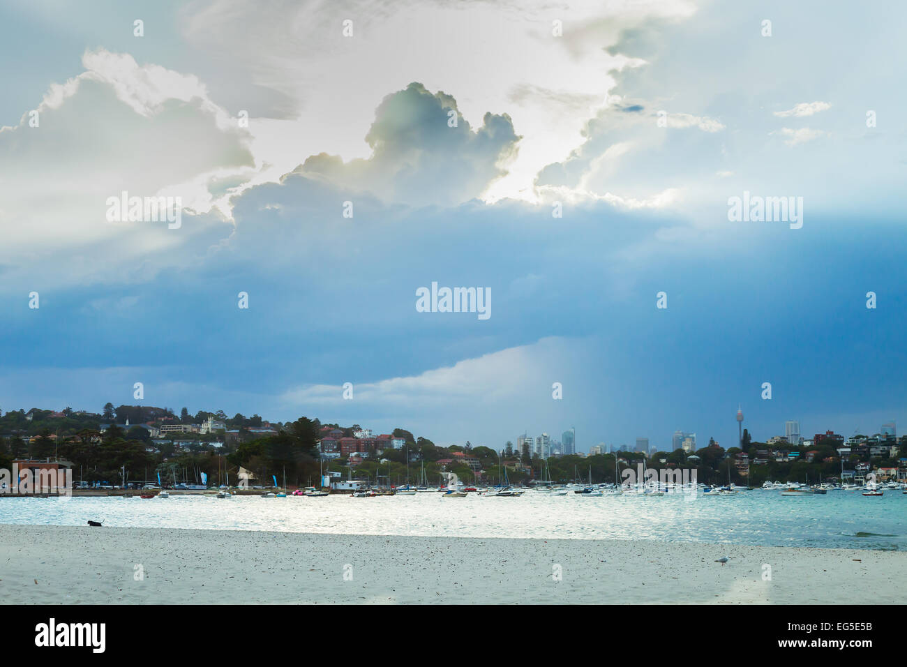 Rose Bay Beach, Sydney Harbour. Stockfoto