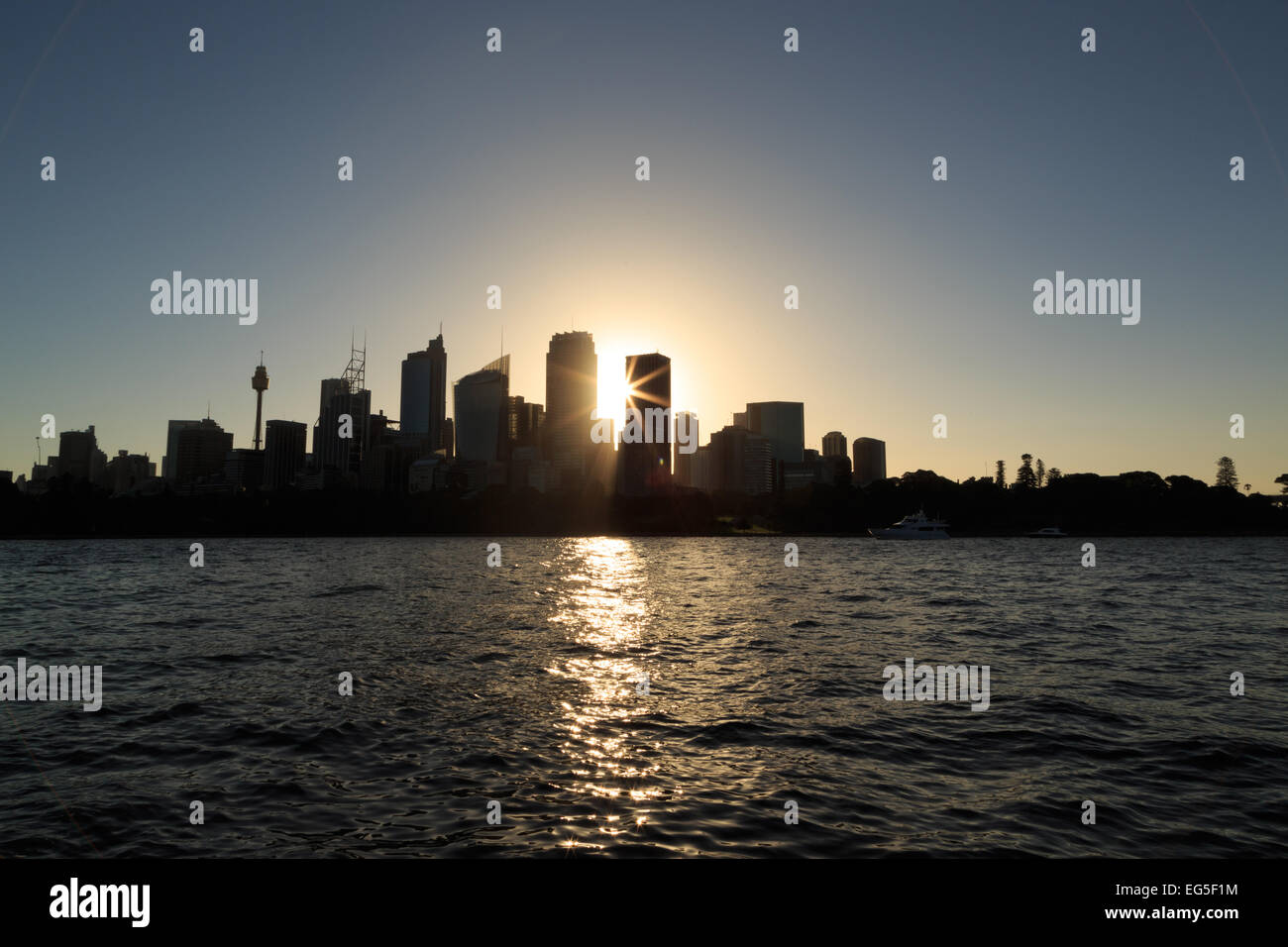 Ein Foto von einige Hochhäuser in Sydney, Australien, wie aus dem Botanischen Garten im Hafen von Sydney zu sehen. Stockfoto