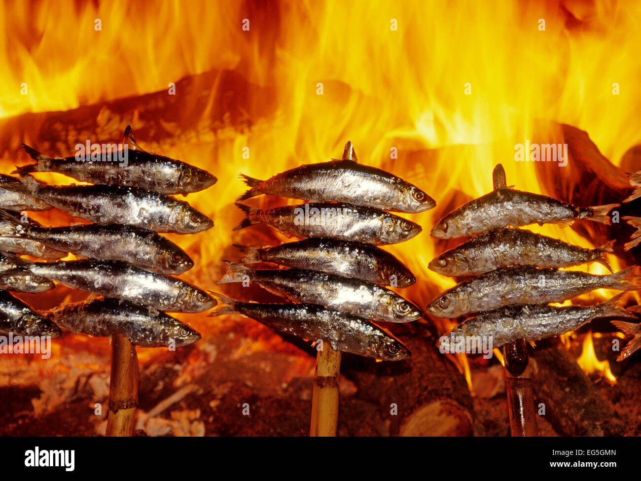 Espetos de Sardinas gegrillte Sardinen andalusischen Gastronomie Andalusien Spanien Stockfoto
