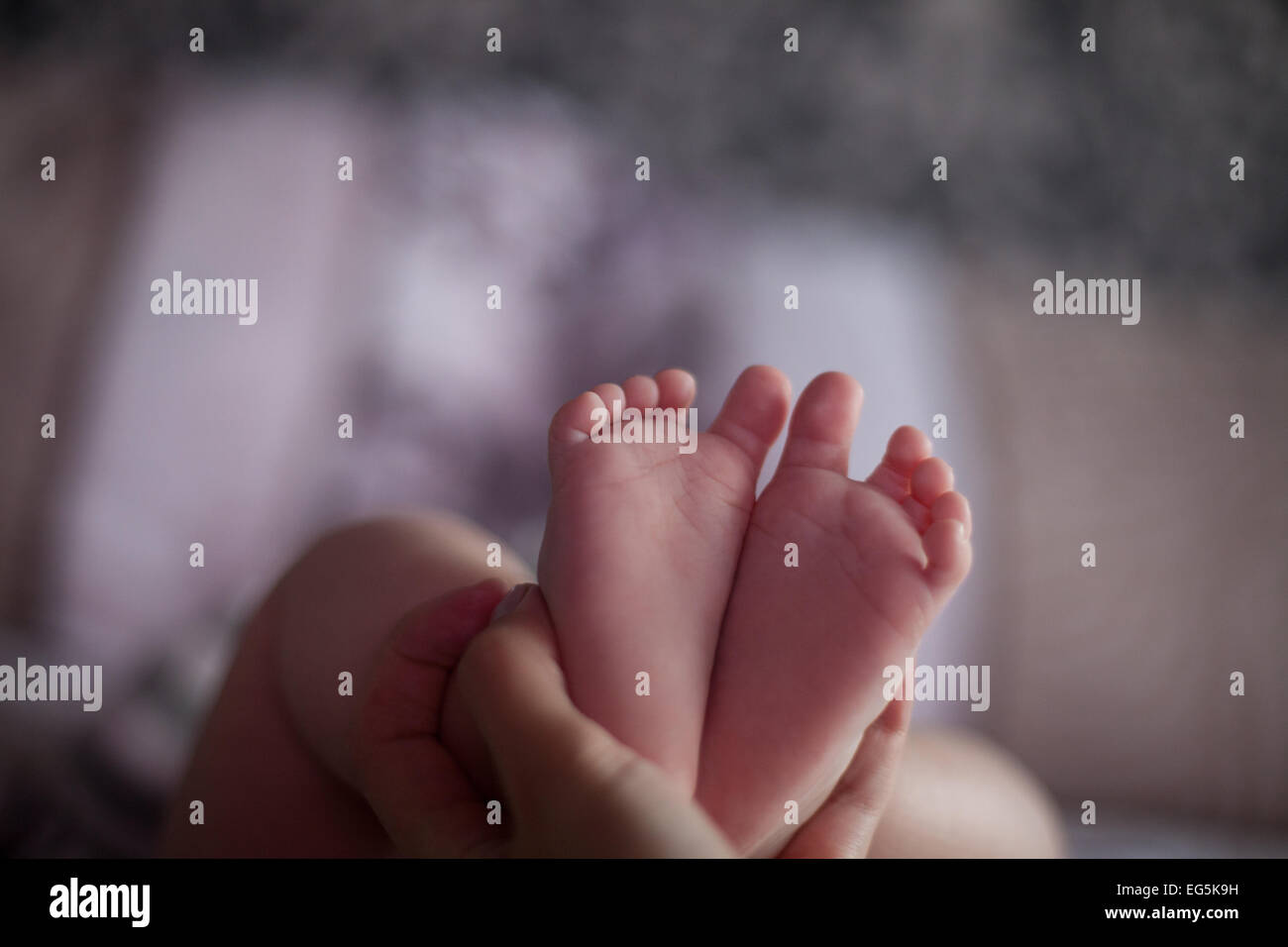 Neugeborenes Baby Füße Stockfoto