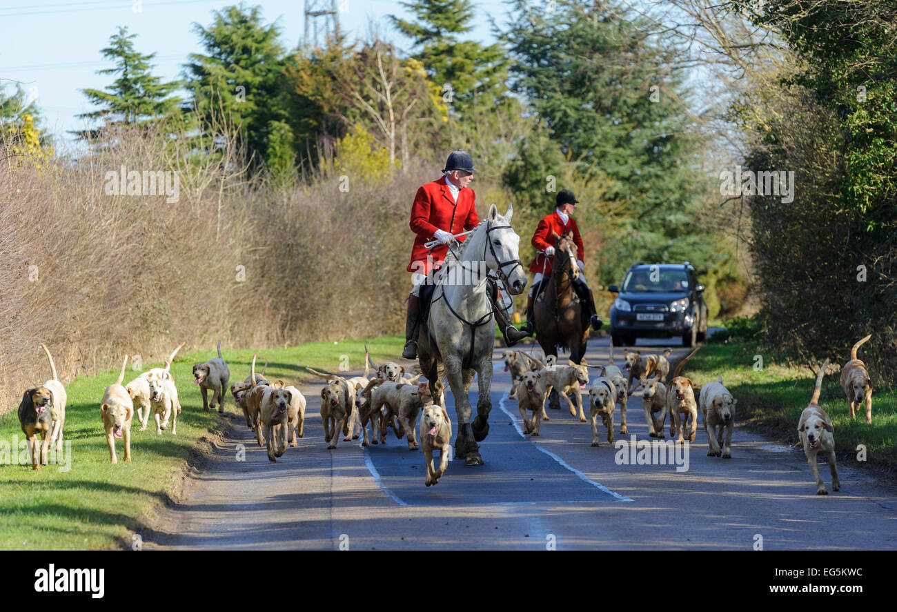 Oakham, Großbritannien. 17. Februar, 2015. Cottesmore Jagd erfüllen. Huntsman Andrew Osborne führt die Cottesmore Jagd. Quelle: Nico Morgan/Alamy leben Nachrichten Stockfoto