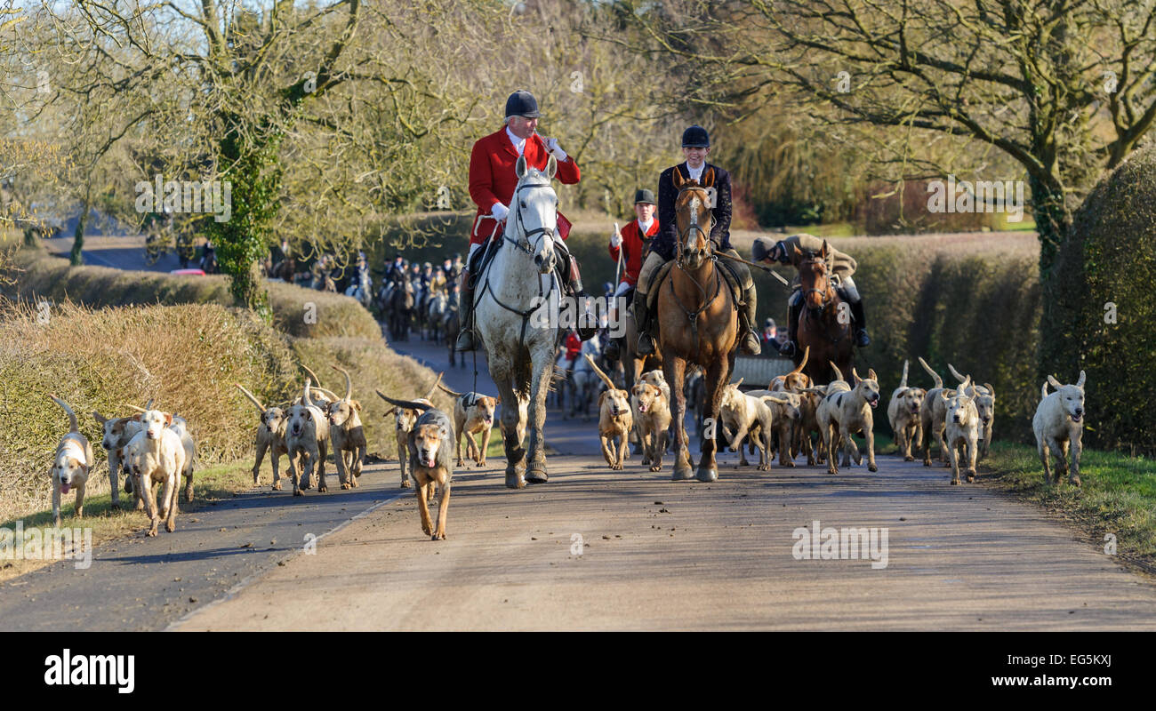 Oakham, UK. 17. Februar 2015. Cottesmore Hunt zu erfüllen. Cottesmore Jäger Andrew Osborne MFH führt die Anhänger auf der Straße zwischen Wanderwege. Bildnachweis: Nico Morgan/Alamy Live-Nachrichten Stockfoto