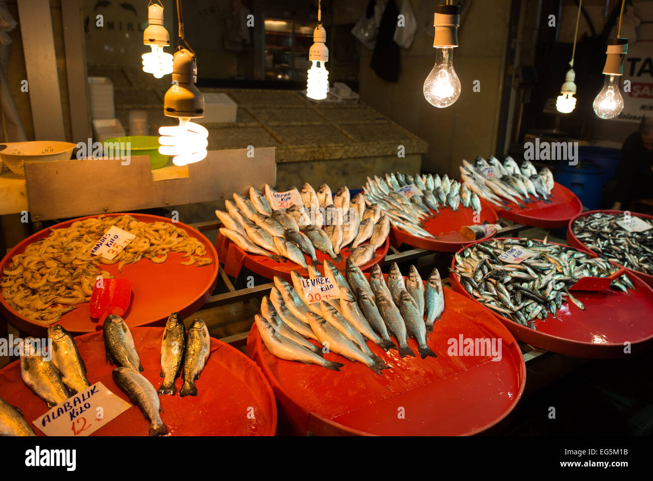 ISTANBUL, Türkei – Ein Geschäft, das Fisch auf Istanbuls Gewürzbasar verkauft. Der Gewürzbasar befindet sich im Eminonu-Viertel von Istanbul, neben der Galata-Brücke und ist einer der größten und berühmtesten Märkte der Stadt. Es ist auch bekannt als ägyptischer Basar. Dieser lebhafte Marktplatz wurde im 17. Jahrhundert gegründet und ist weiterhin ein wichtiger Bestandteil von Istanbuls Handels- und Gastronomiekultur, mit seinen reichen Aromen und lebhaften Farben, die Einheimische und Touristen gleichermaßen begeistern. Stockfoto