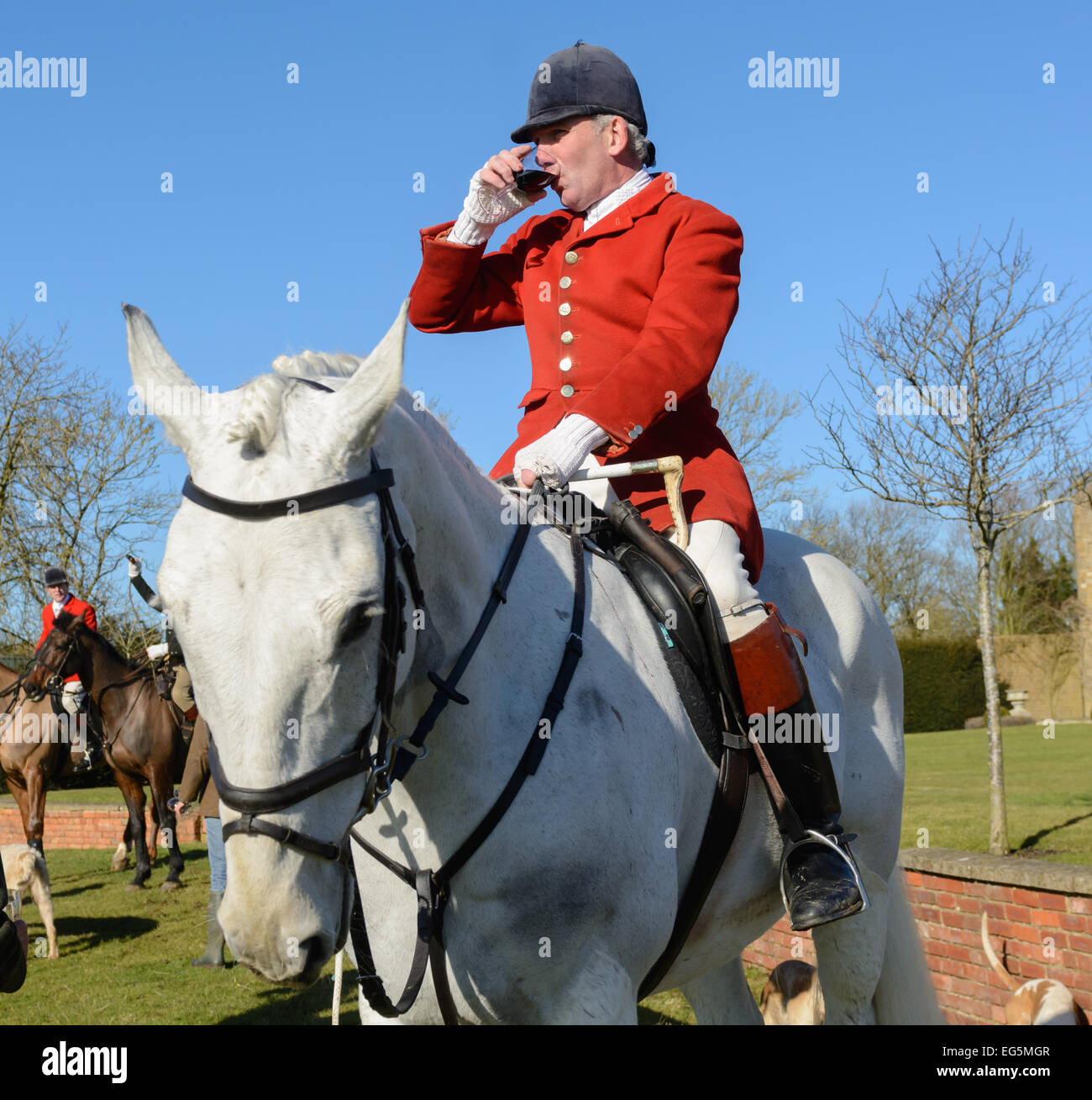 Oakham, Großbritannien. 17. Februar, 2015. Cottesmore Jagd erfüllen. Cottesmore Huntsman Andrew Osborne MFH im Knossington Credit erfüllen: Nico Morgan/Alamy leben Nachrichten Stockfoto