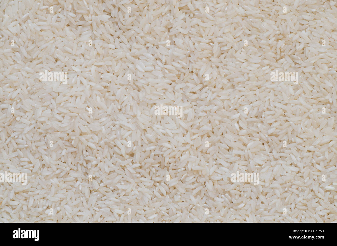 Closeup, Reis Hintergrundtextur Stockfoto