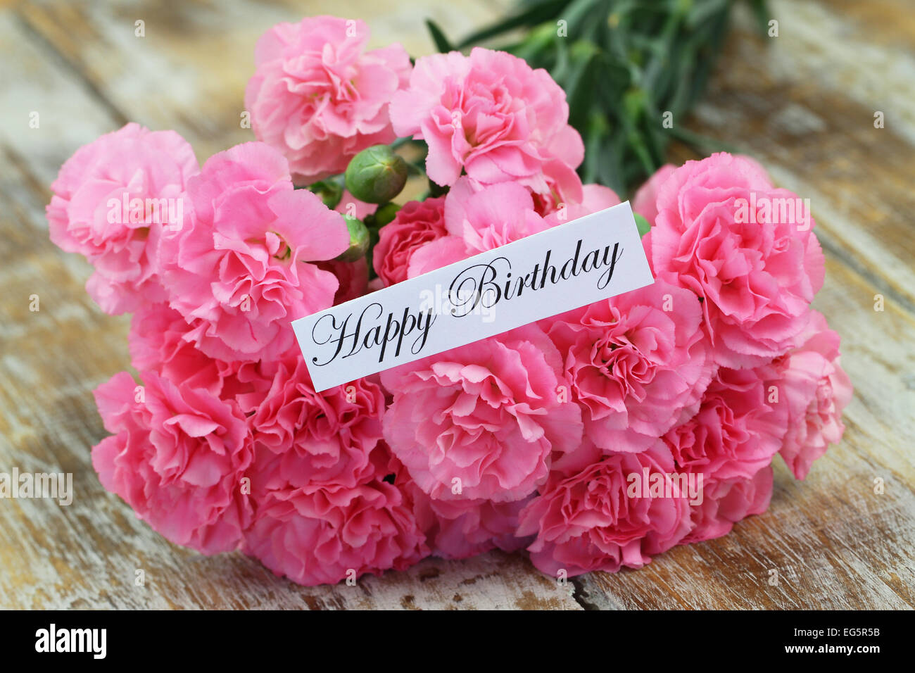 Alles Gute zum Geburtstagskarte mit rosa Nelken Stockfoto