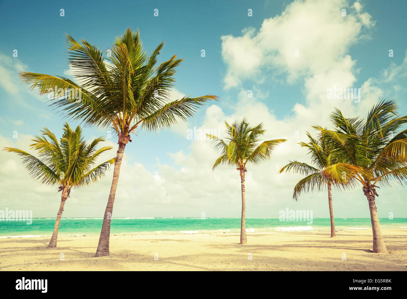 Palmen wachsen auf leeren Strand. Küste des Atlantischen Ozeans, Dominikanische Republik. Vintage-straff-Effekt, alten Stil Farbkorrektur Stockfoto
