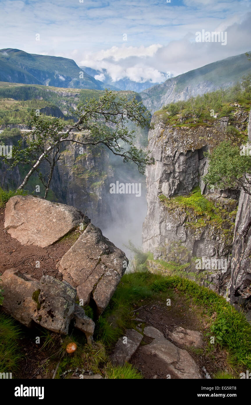 Voringsfossen-Wasserfall-Canyon-Tal in der Hardangervidda, Norwegen, Skandinavien. Pilz im Vordergrund. Stockfoto