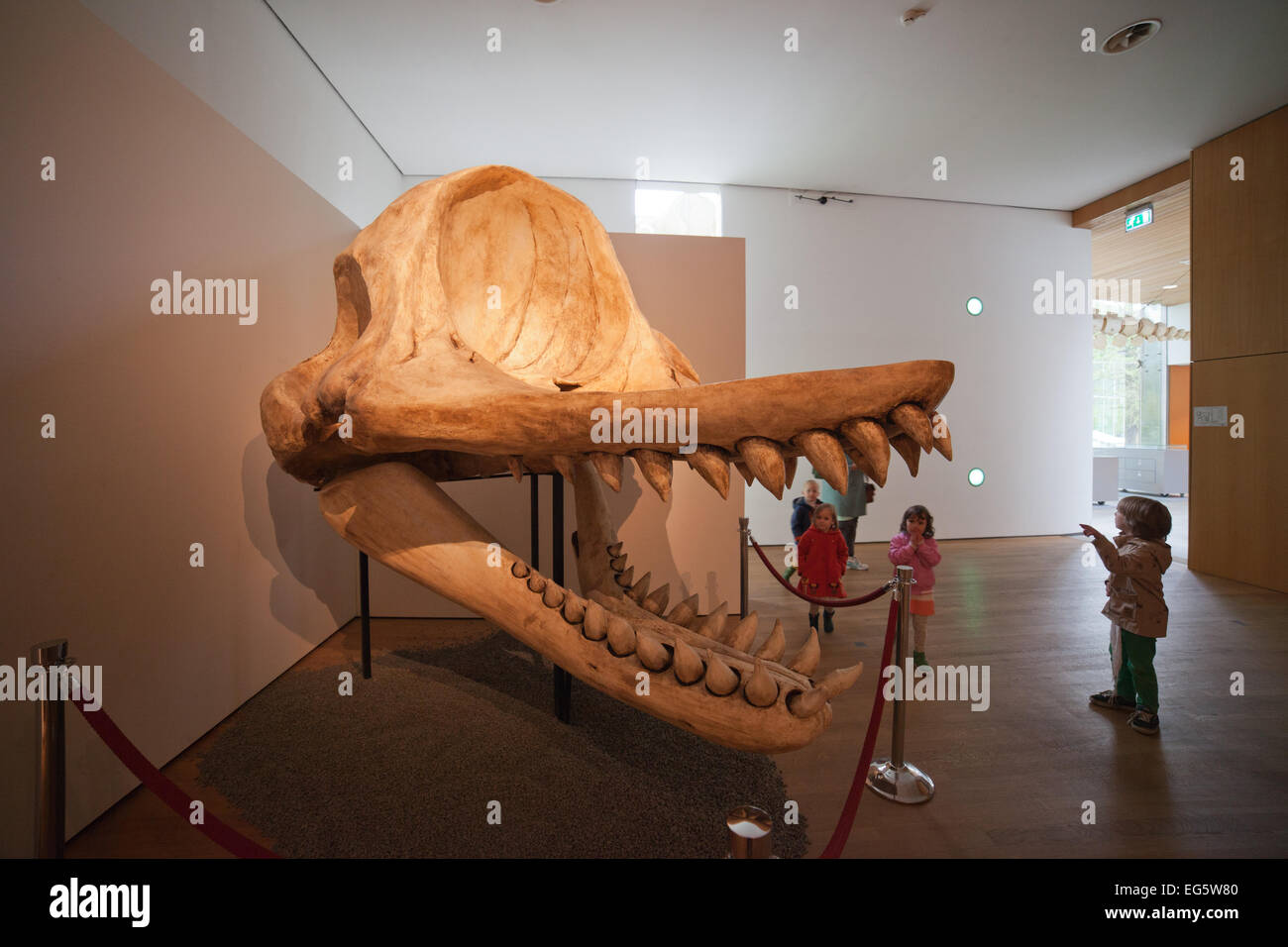 Monster Dinosaurier Stockfotos Und Bilder Kaufen Alamy