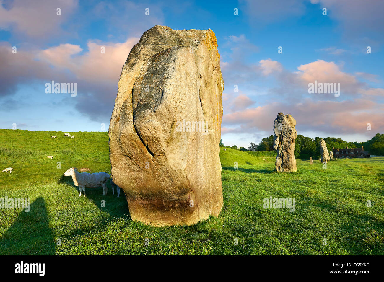 Avebury neolithischen stehende Steinkreis, größte in England bei Sonnenuntergang, A UNESCO World Heritage Site, Wiltshire, England, Europa Stockfoto