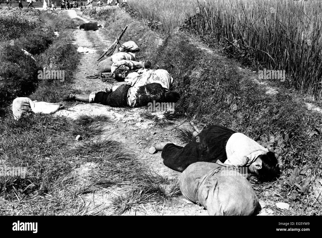 KOREAKRIEG (1950-1953) koreanische Zivilisten getötet, als in der Linie des Feuers während Nachtangriff von Guerilla-Truppen in der Nähe von Yongsan-gu, 25. August 1950 gefangen.  Foto U.S. Army Stockfoto
