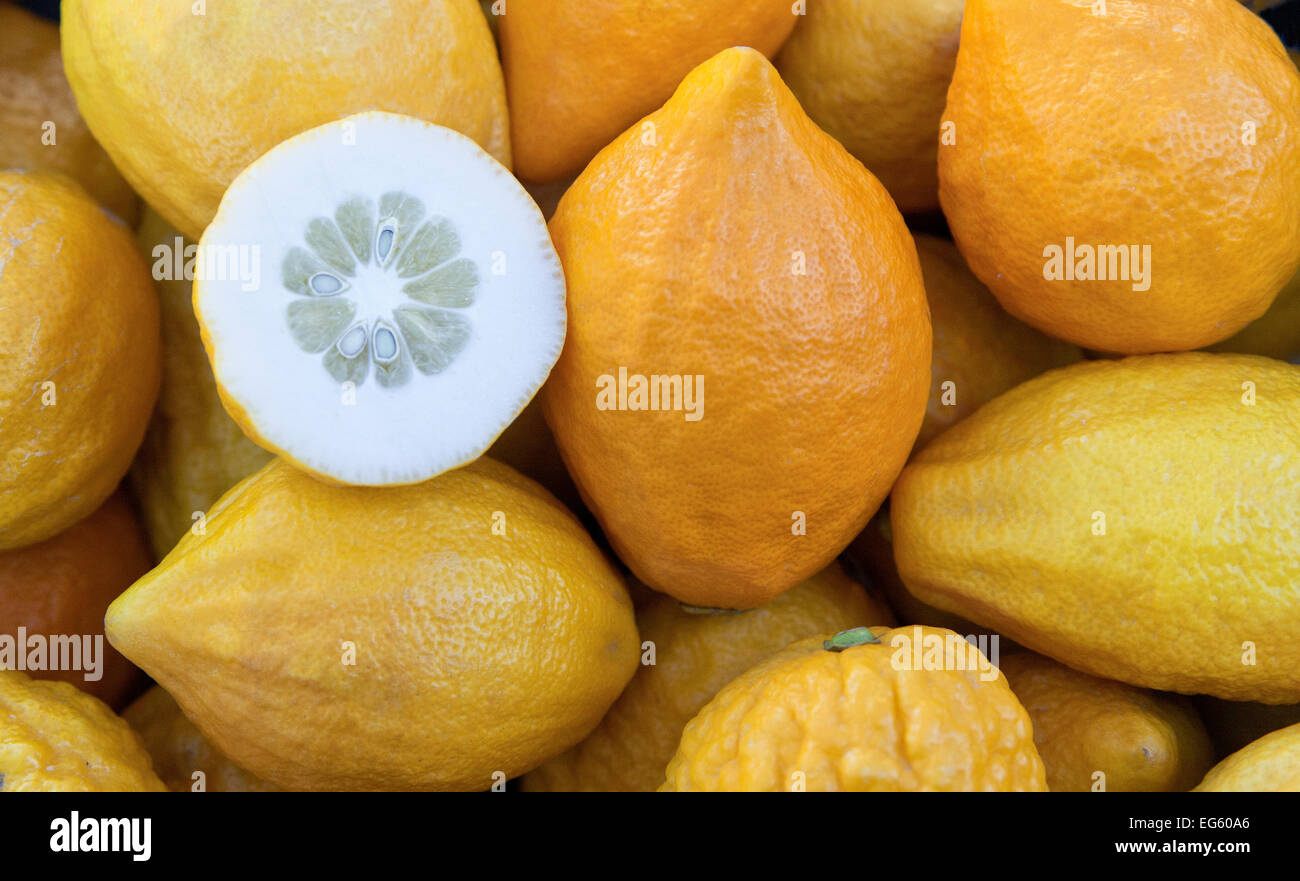 Etrog Citrons "Citrus Medica", Bauernmarkt. Stockfoto